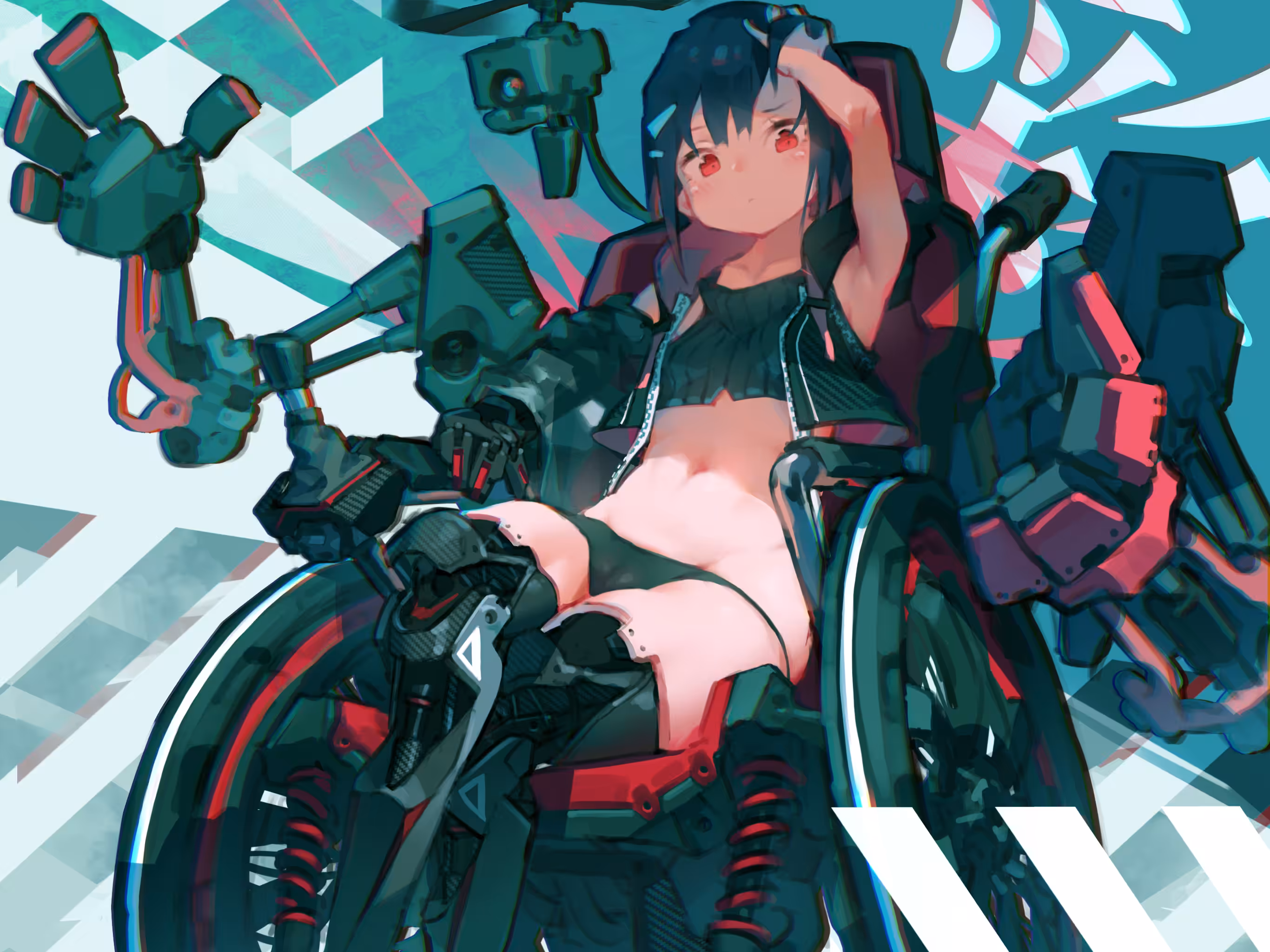 Wheelchair and Prosthetic limbs