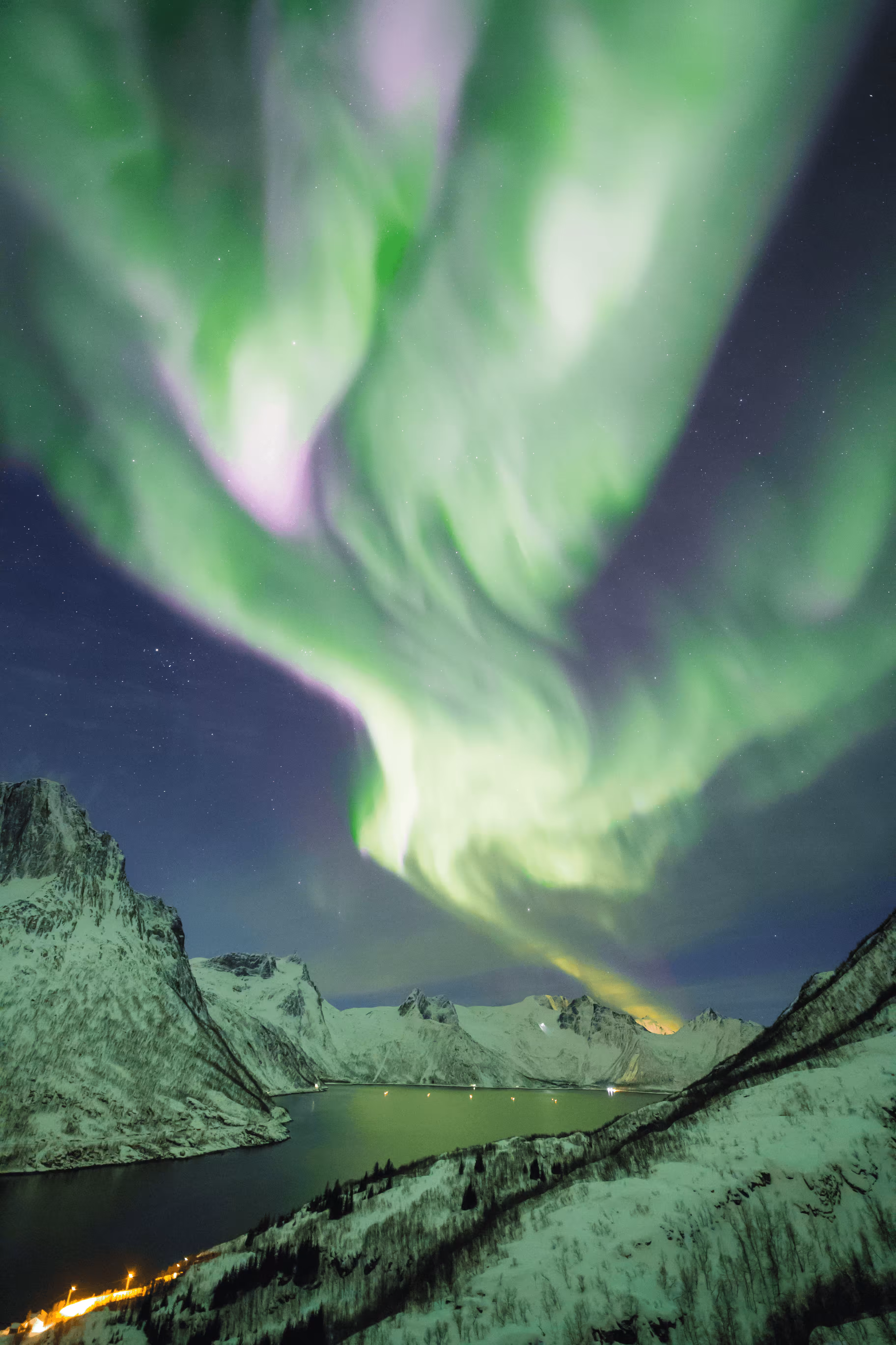 Mefjord bifrost