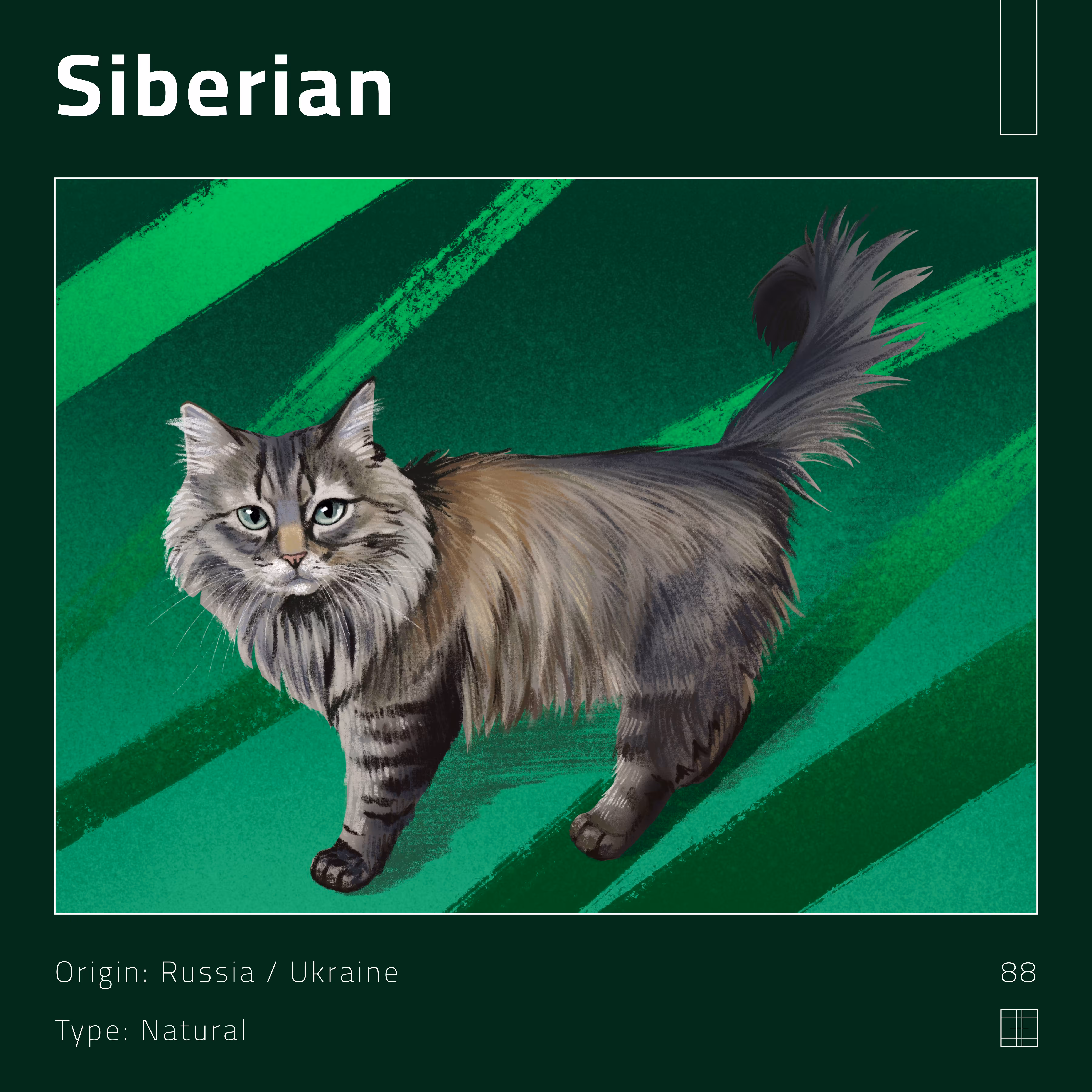 88 – Siberian
