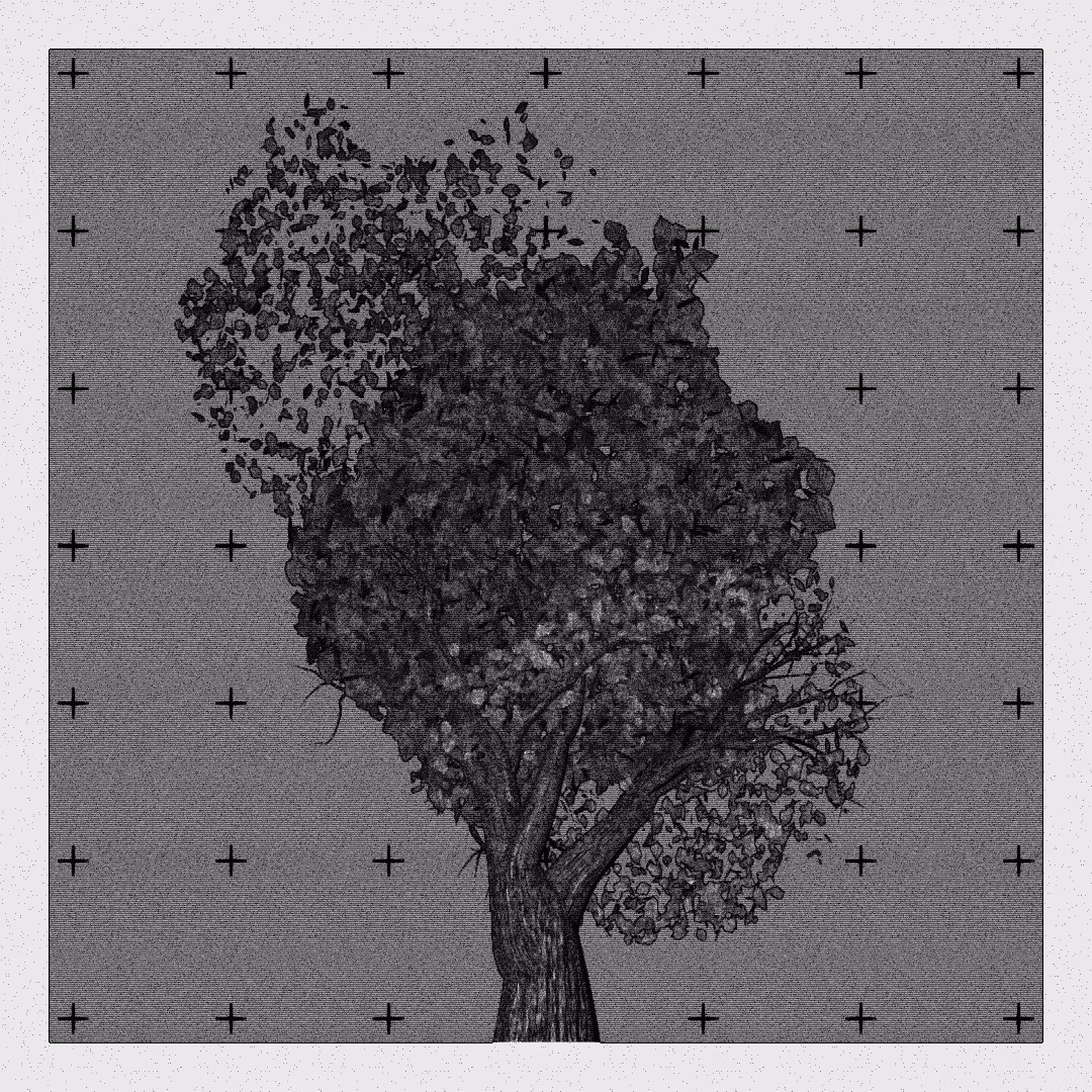 _argania[primaria] #192