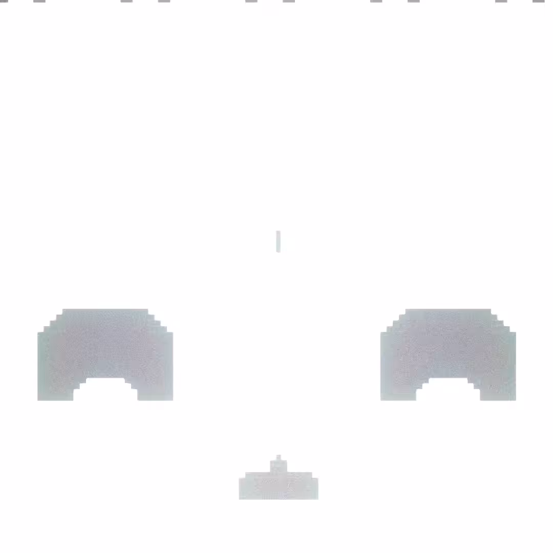 Invasion