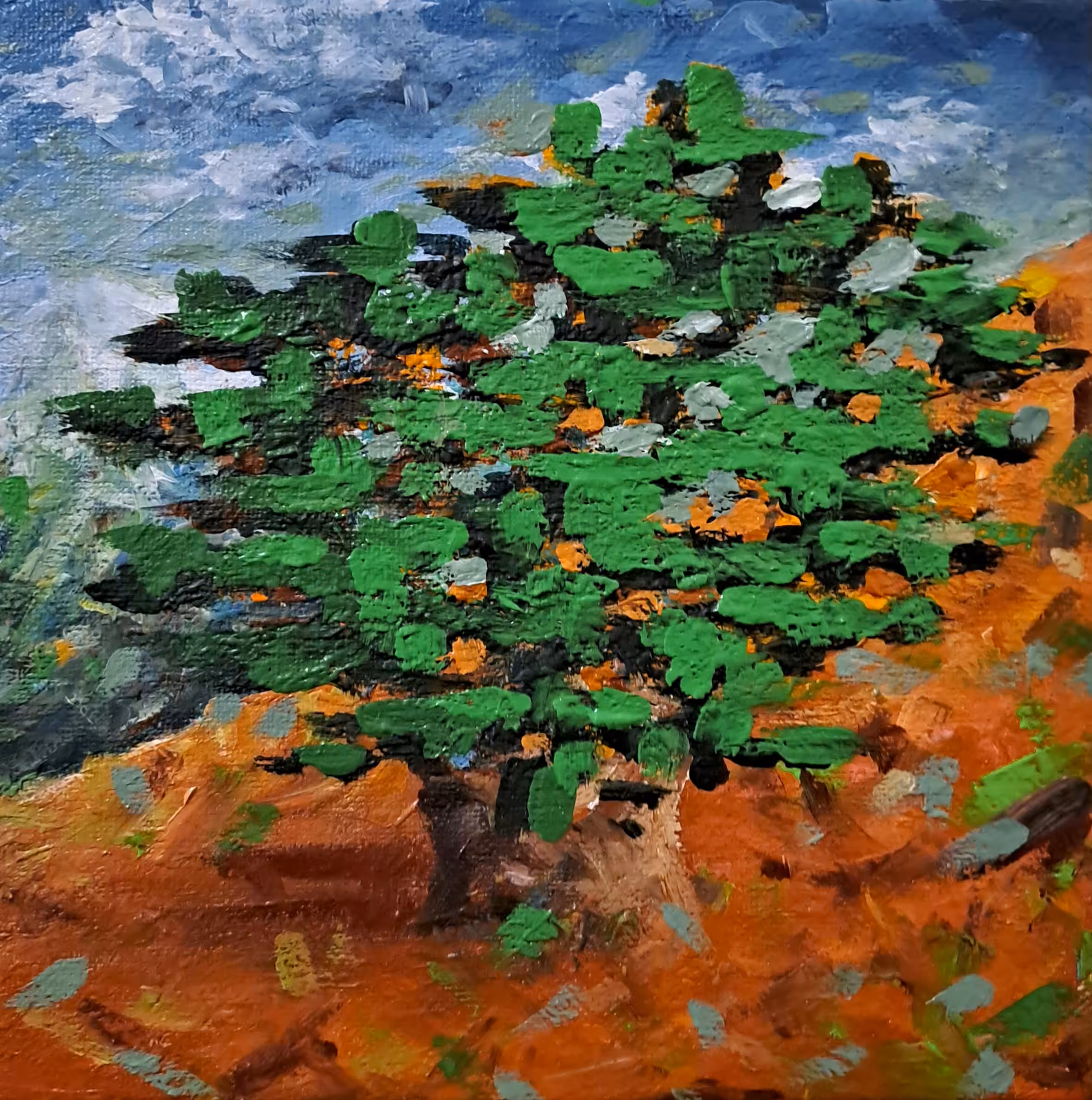 Life Of A Cedar  #29
