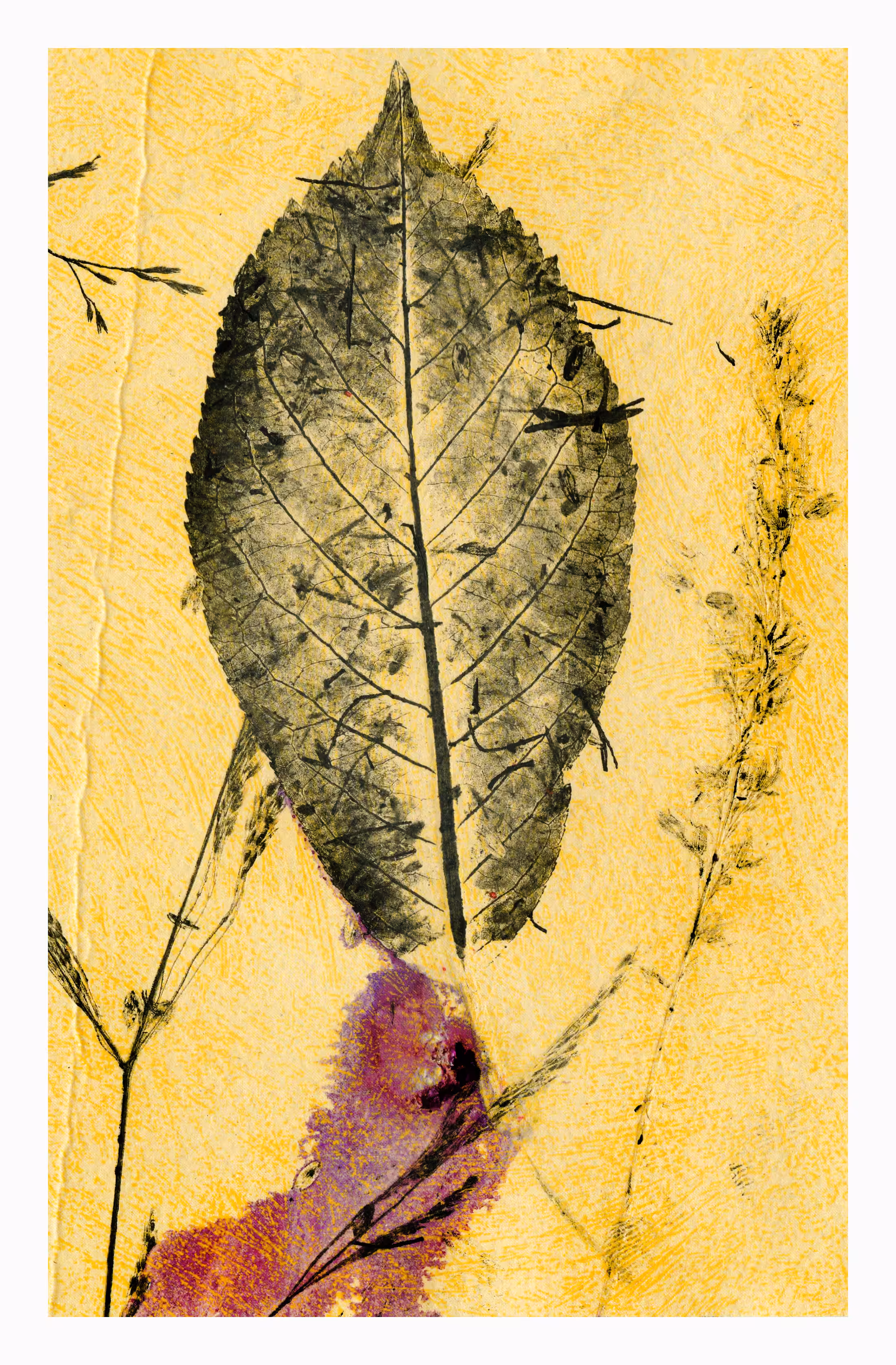 Summer forest leaf  1