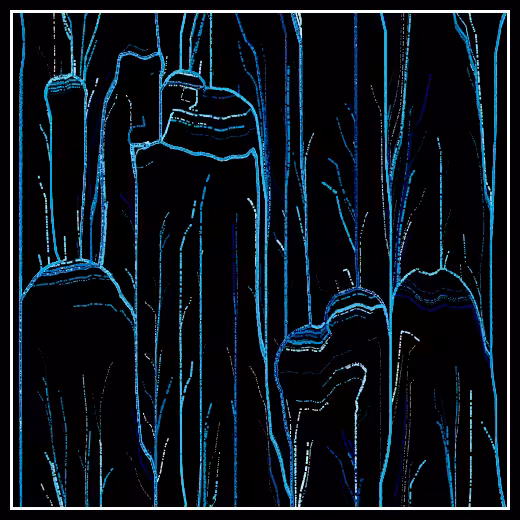 Observers' decline #11