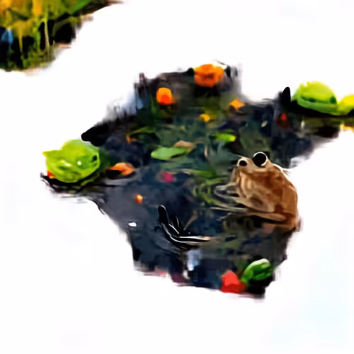 AI Polygons: A Frog in a Pond