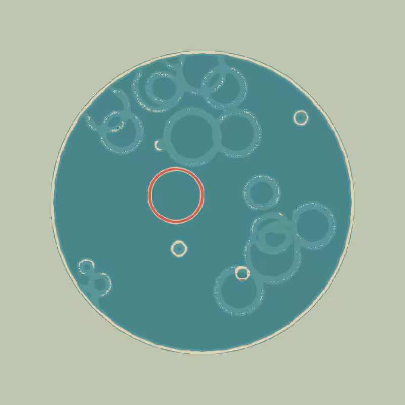 Cheap Petri Dish #66