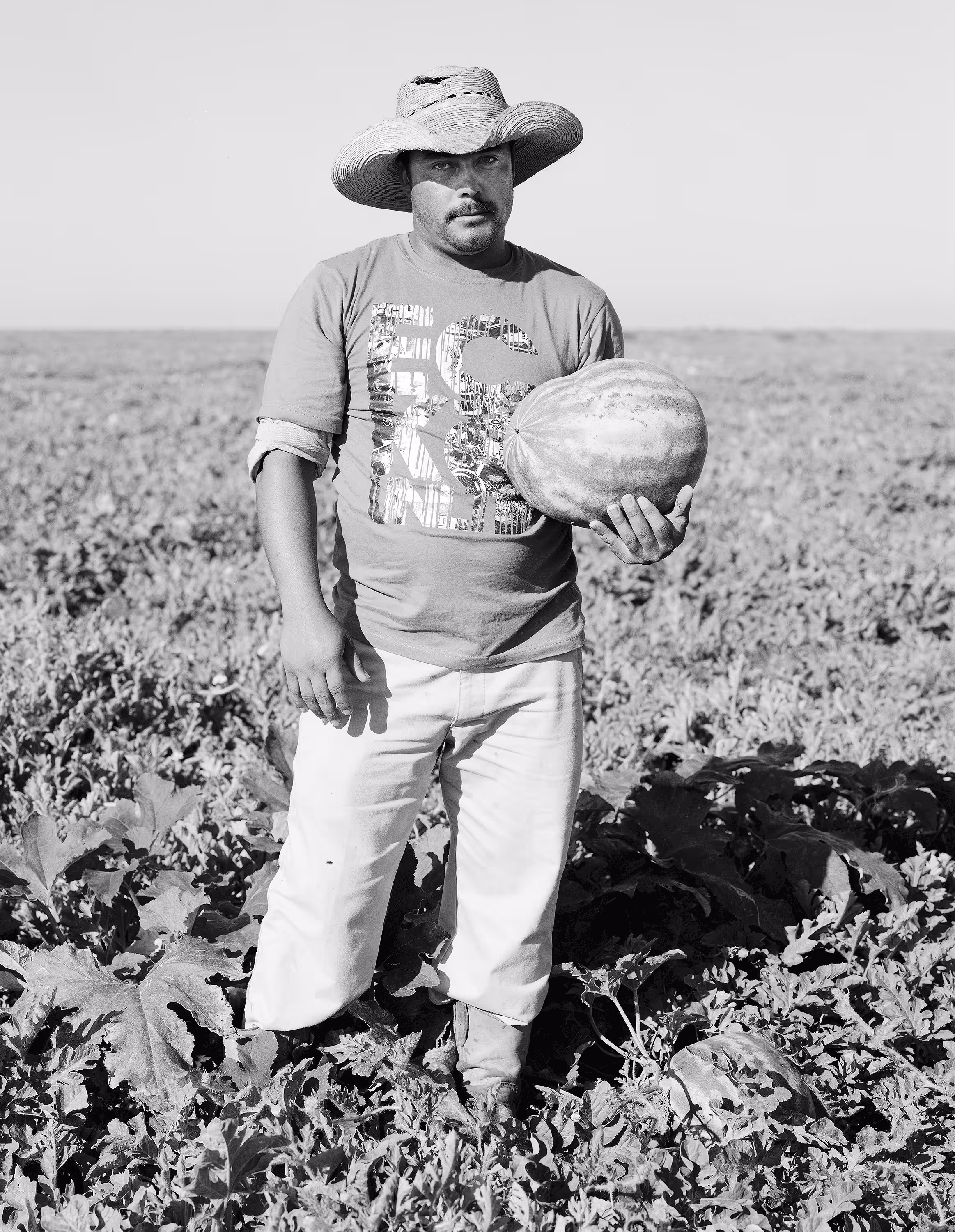 72_watermelon_coyanosa_tx