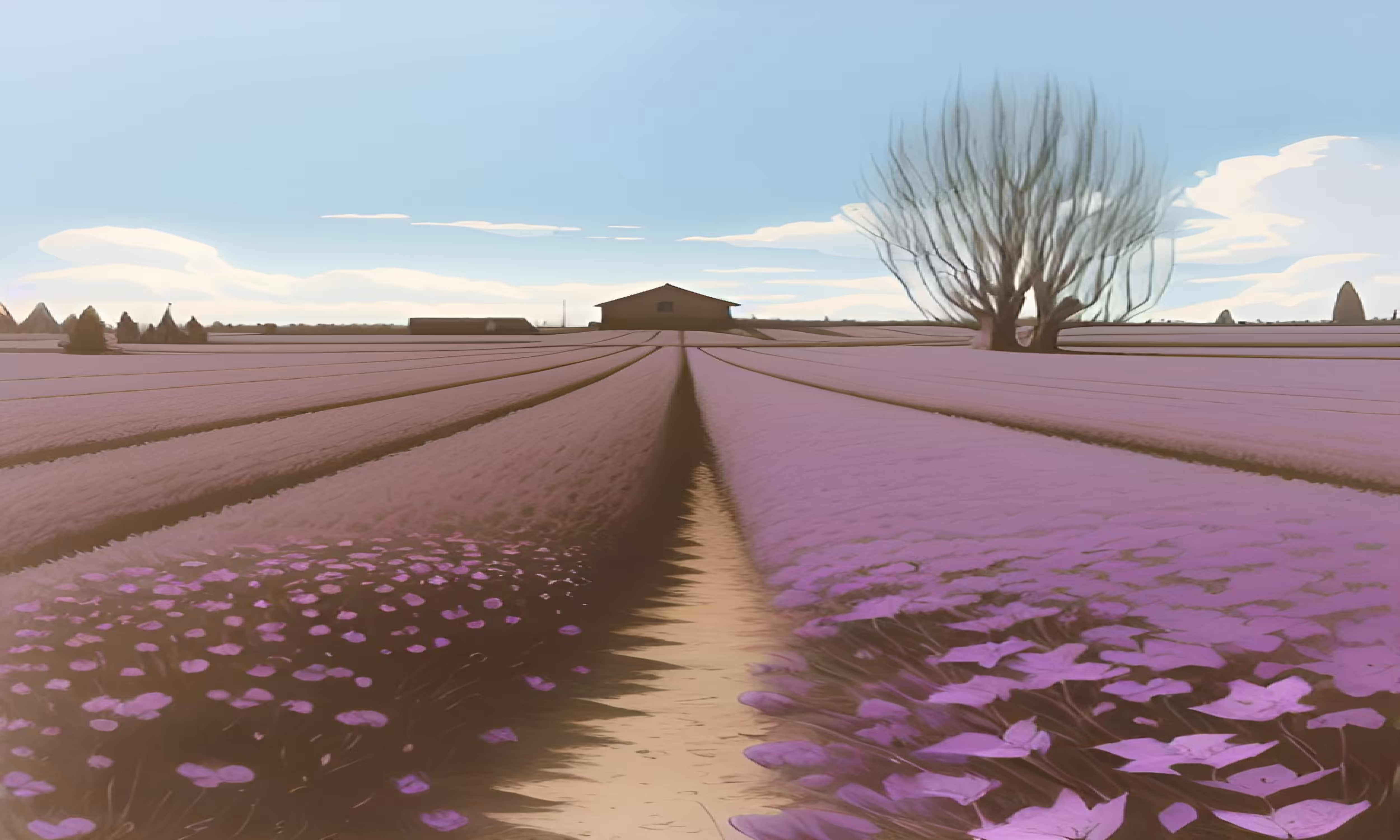 Purple field 9