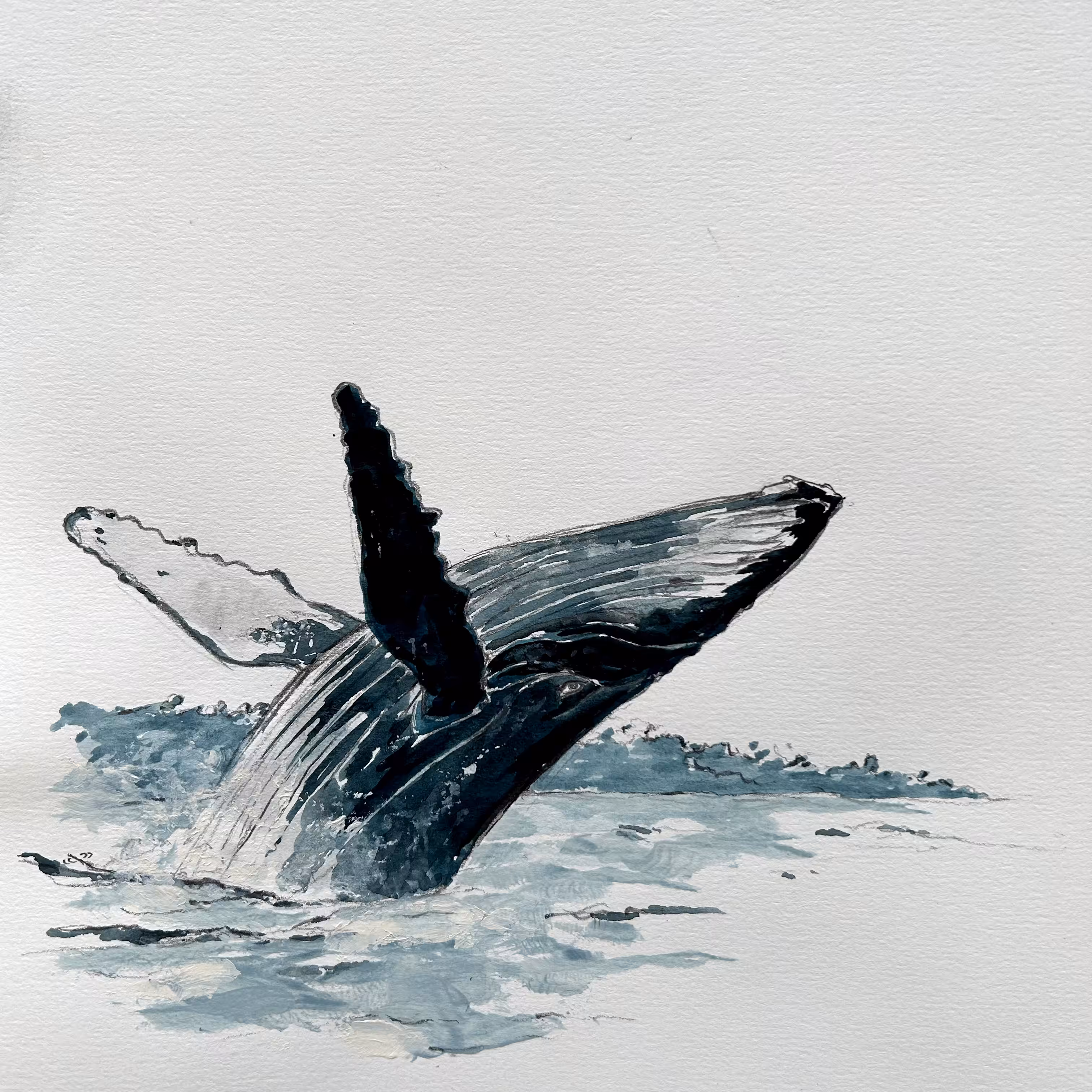The Whale