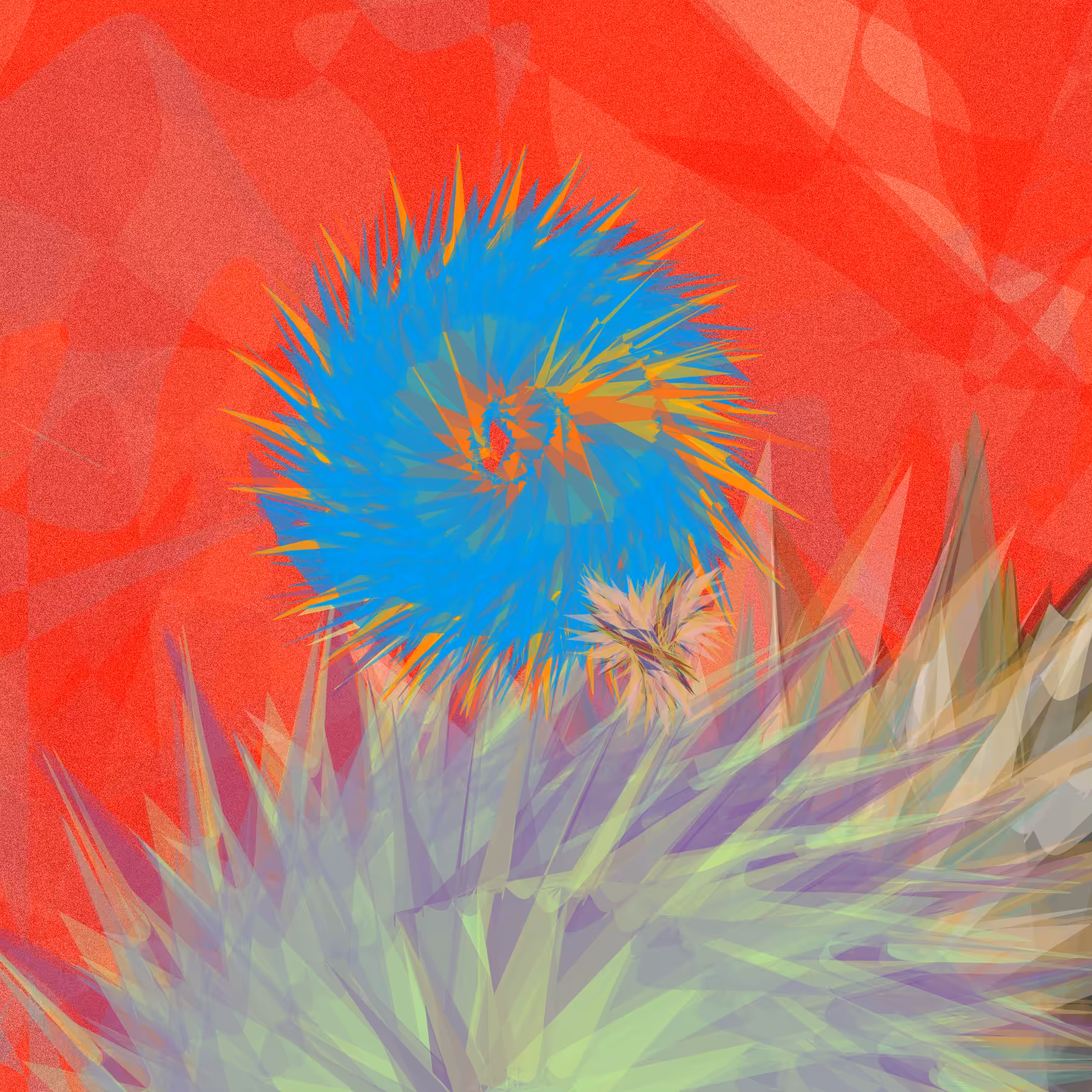 Tillandsia-B #4