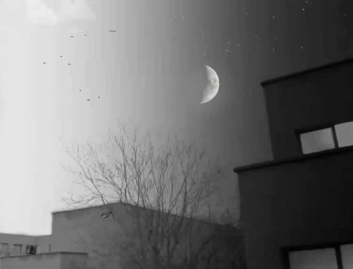 Day with Night