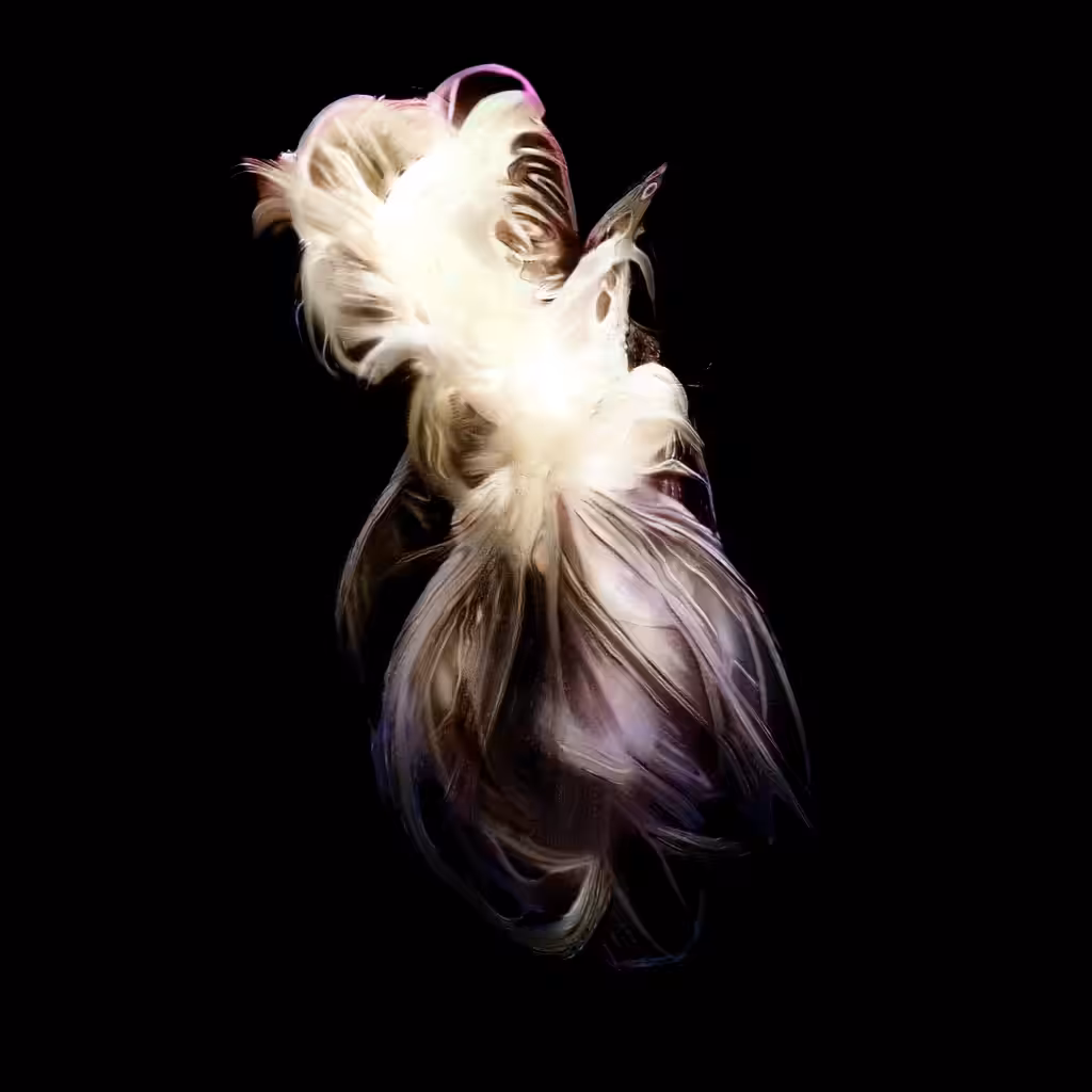 Morphing Seeds #1