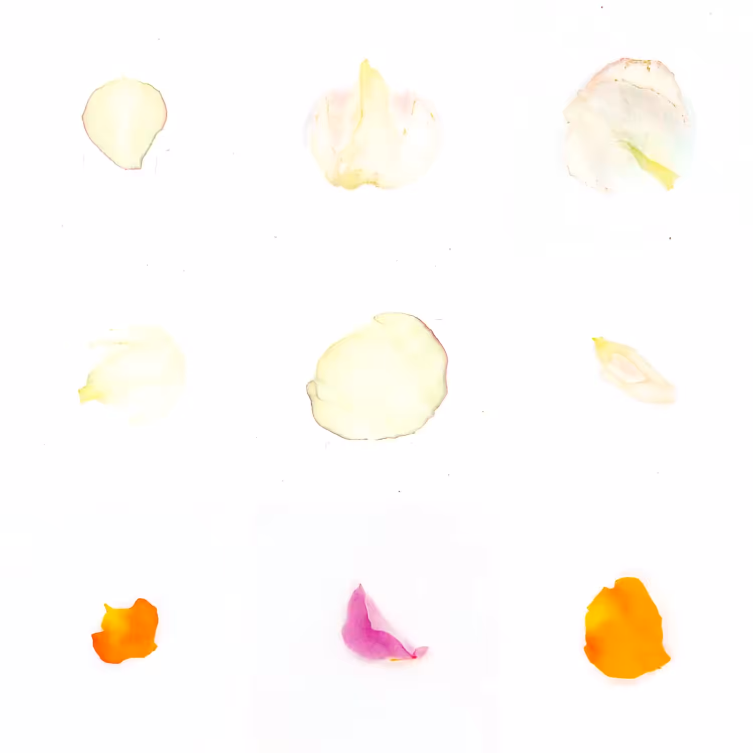 Infinite Petals 3x3#20827