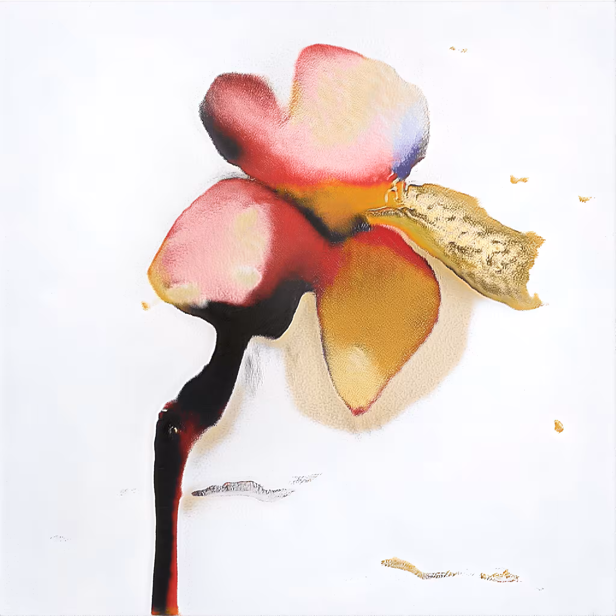 Record Seed 006