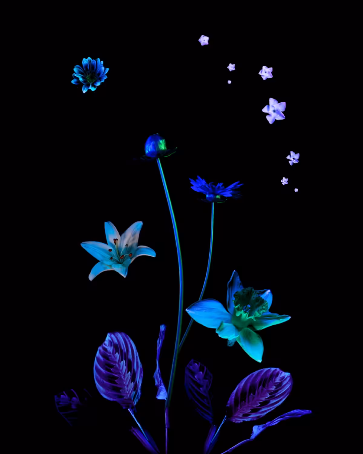Eternal Garden 6