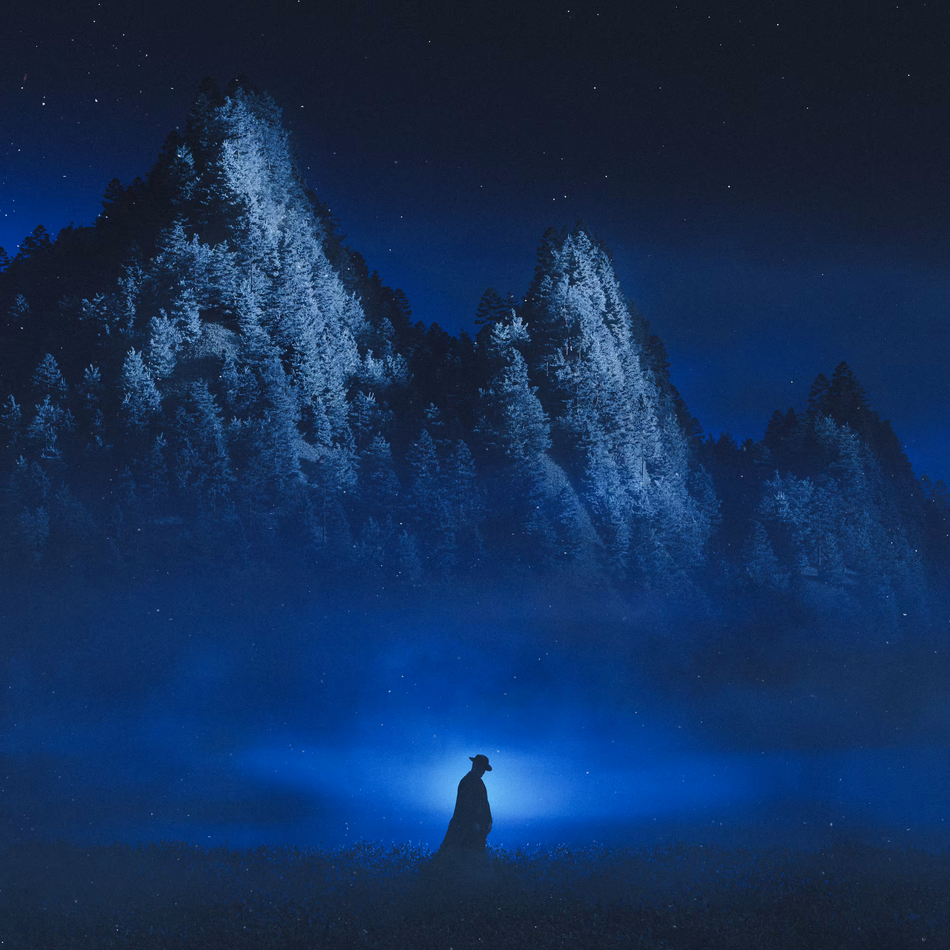 child of the night