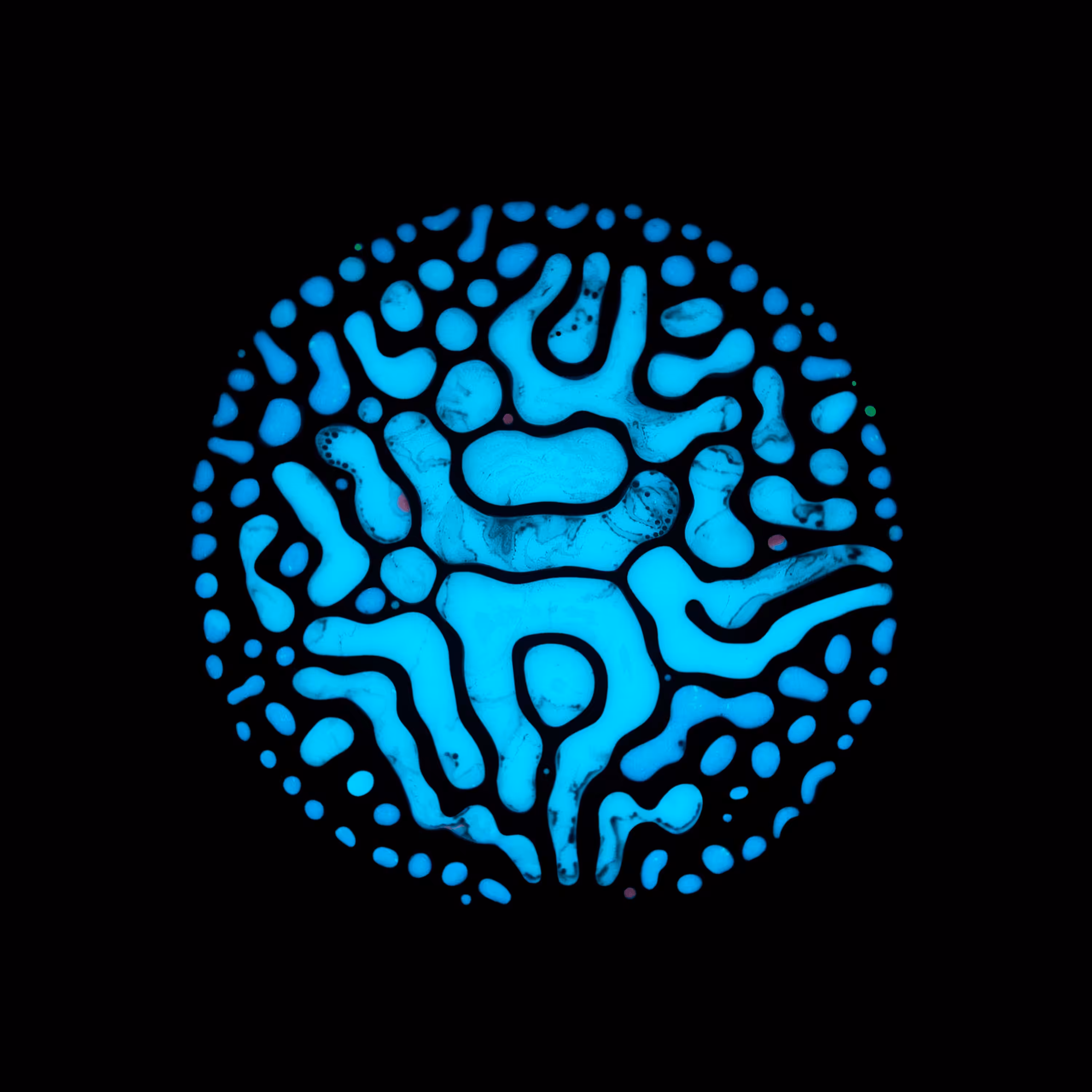 Haematopoiesis #87