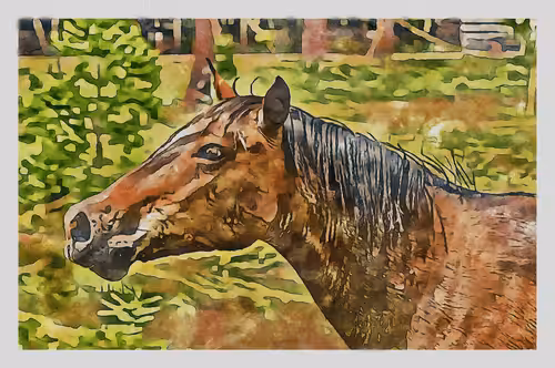 Watercolored Photography: Watercolored 055