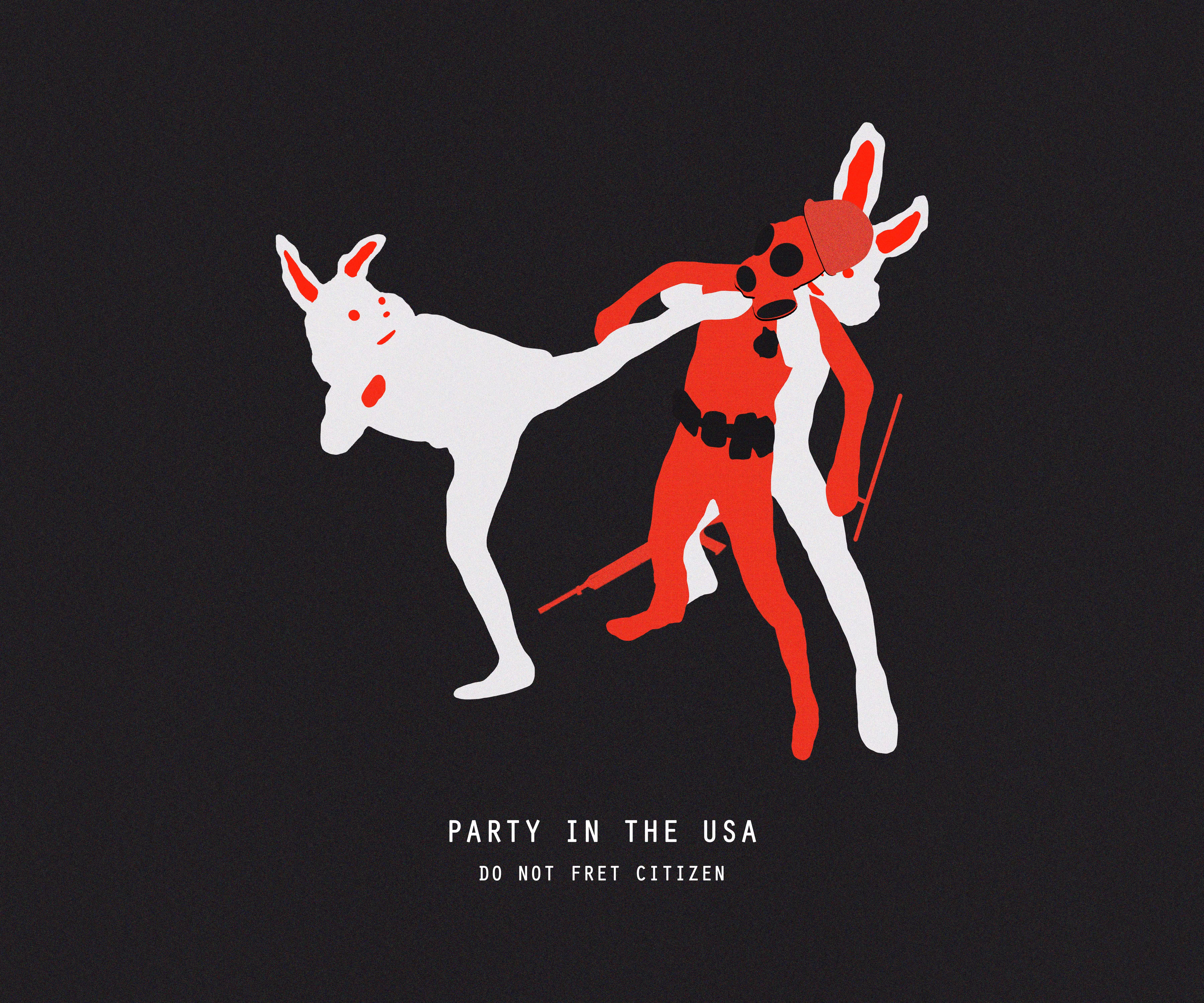 PARTY IN THE USA