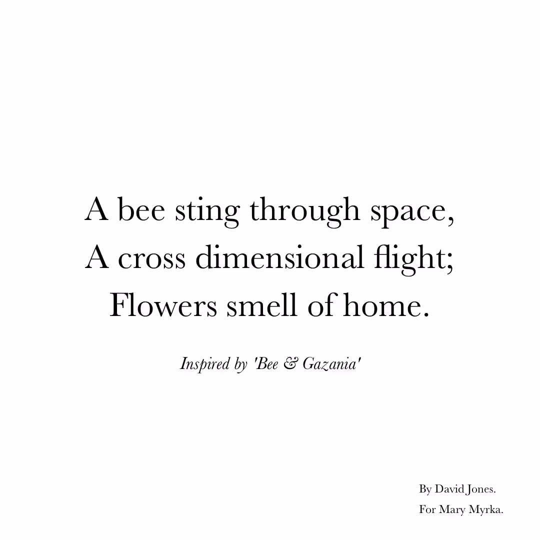 A Bee Sting Through Space.