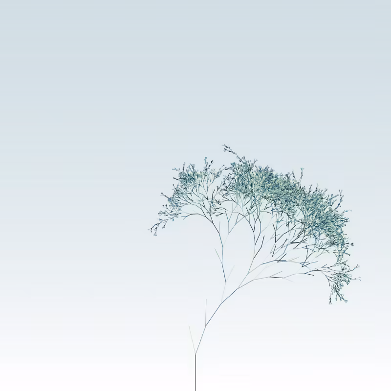 Hash Branches #82
