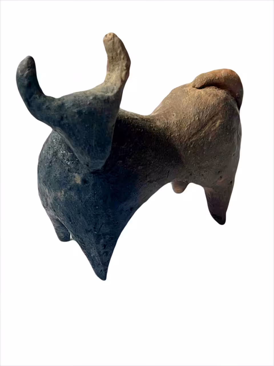 Rain Bringing Bull