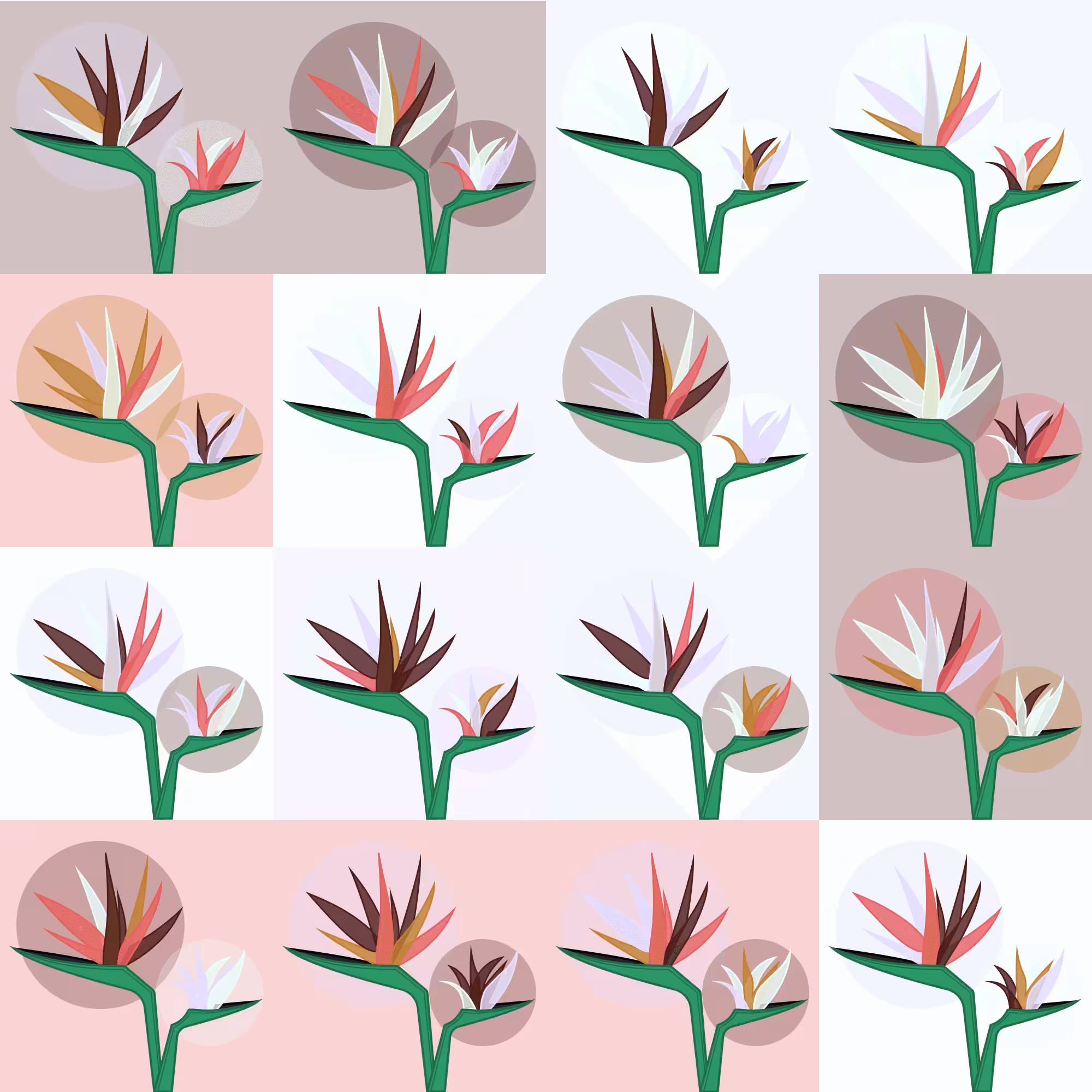 Birds of Paradise: #5