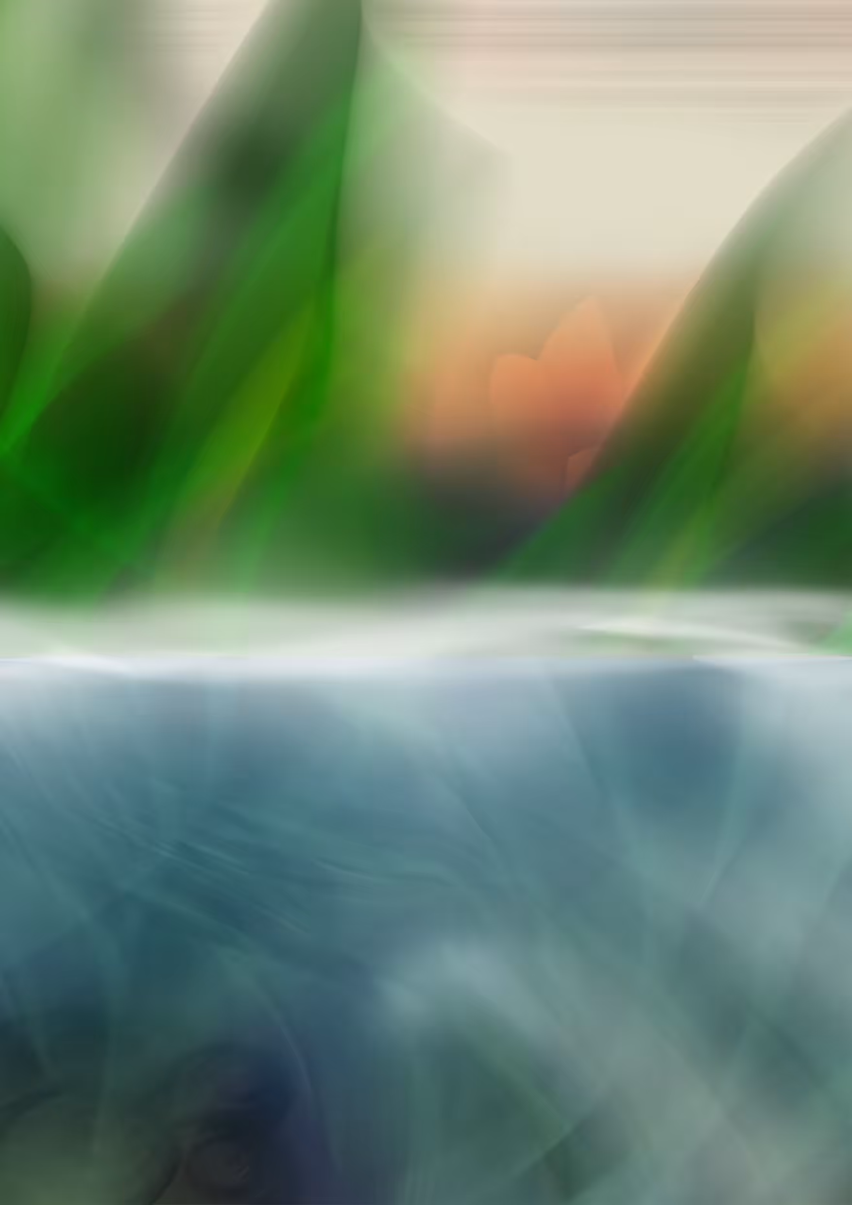 Exhibition Of Psychedelic Artworks: Green island 2