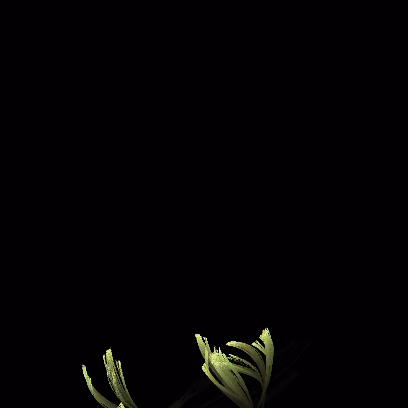 Fractal Amoeba #234