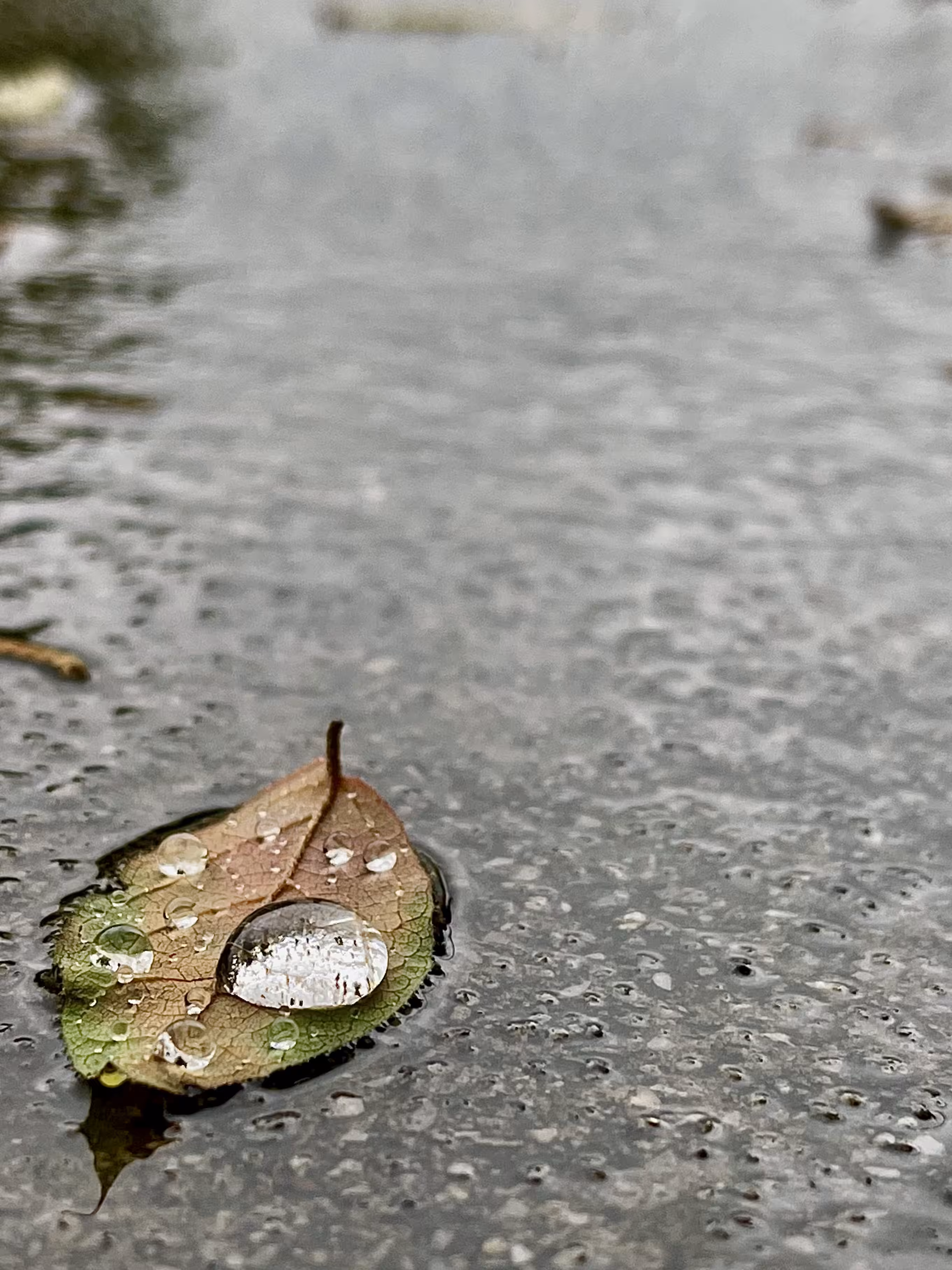 Caught in the Rain