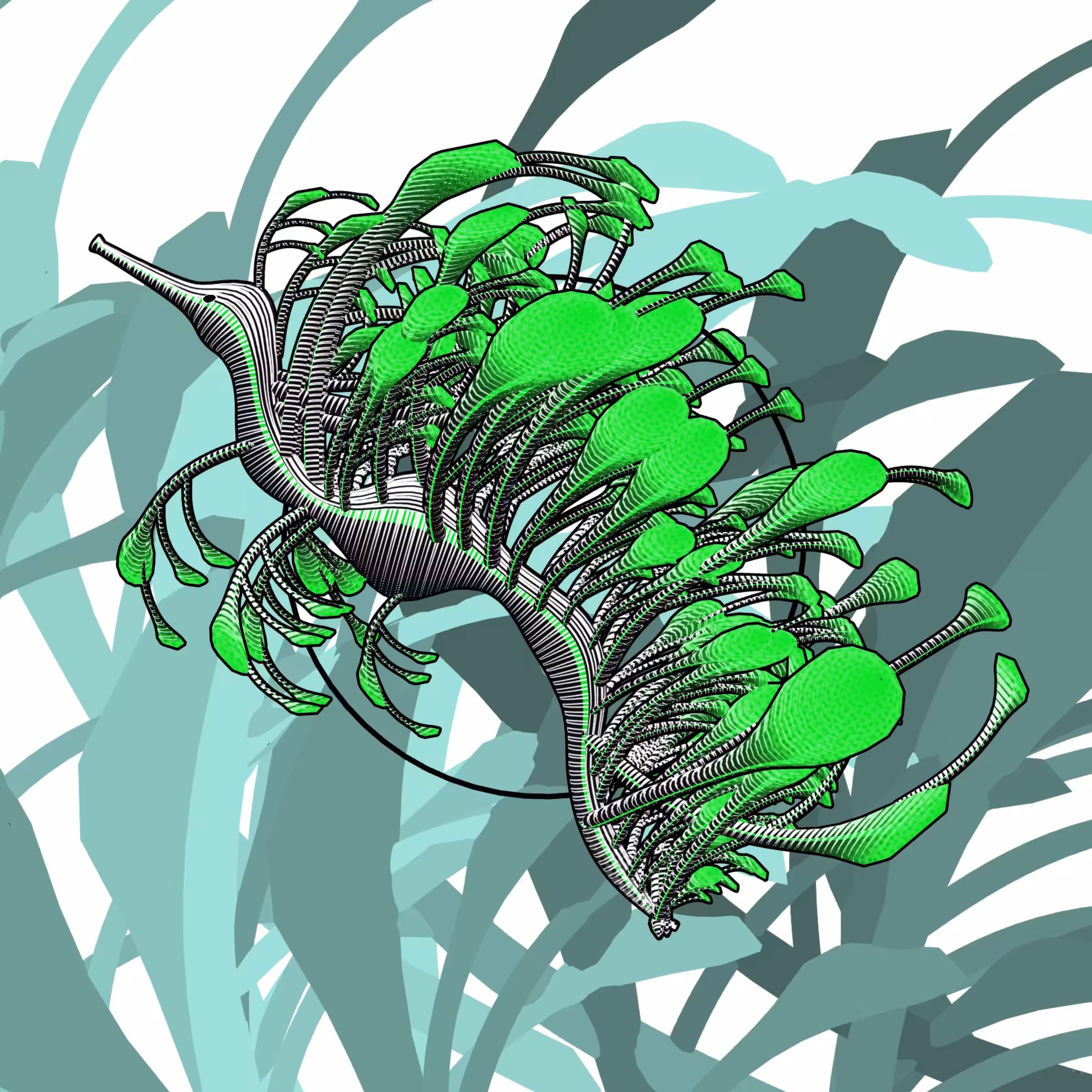 Seadragons #589