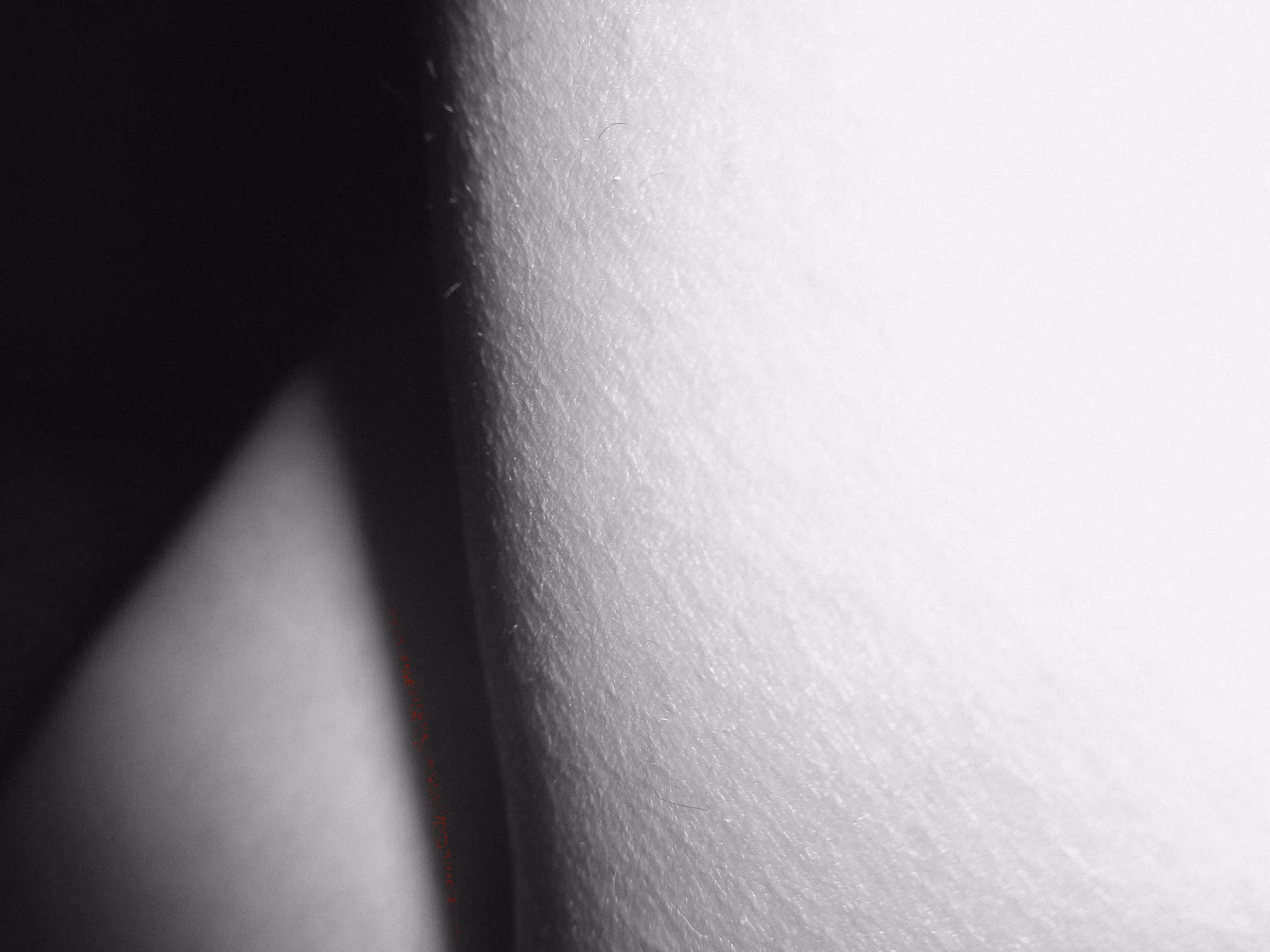 Self Portrait 