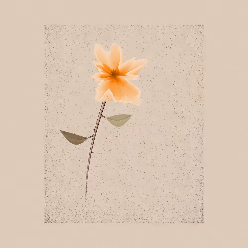 Magnolia #45
