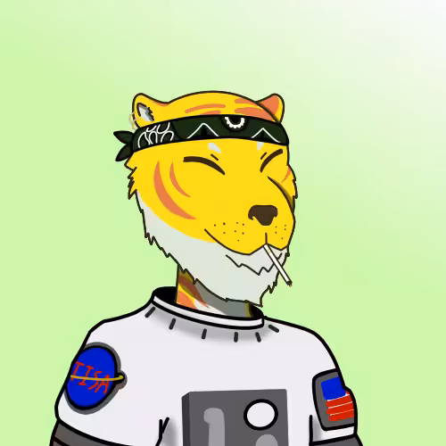 Tiger #10
