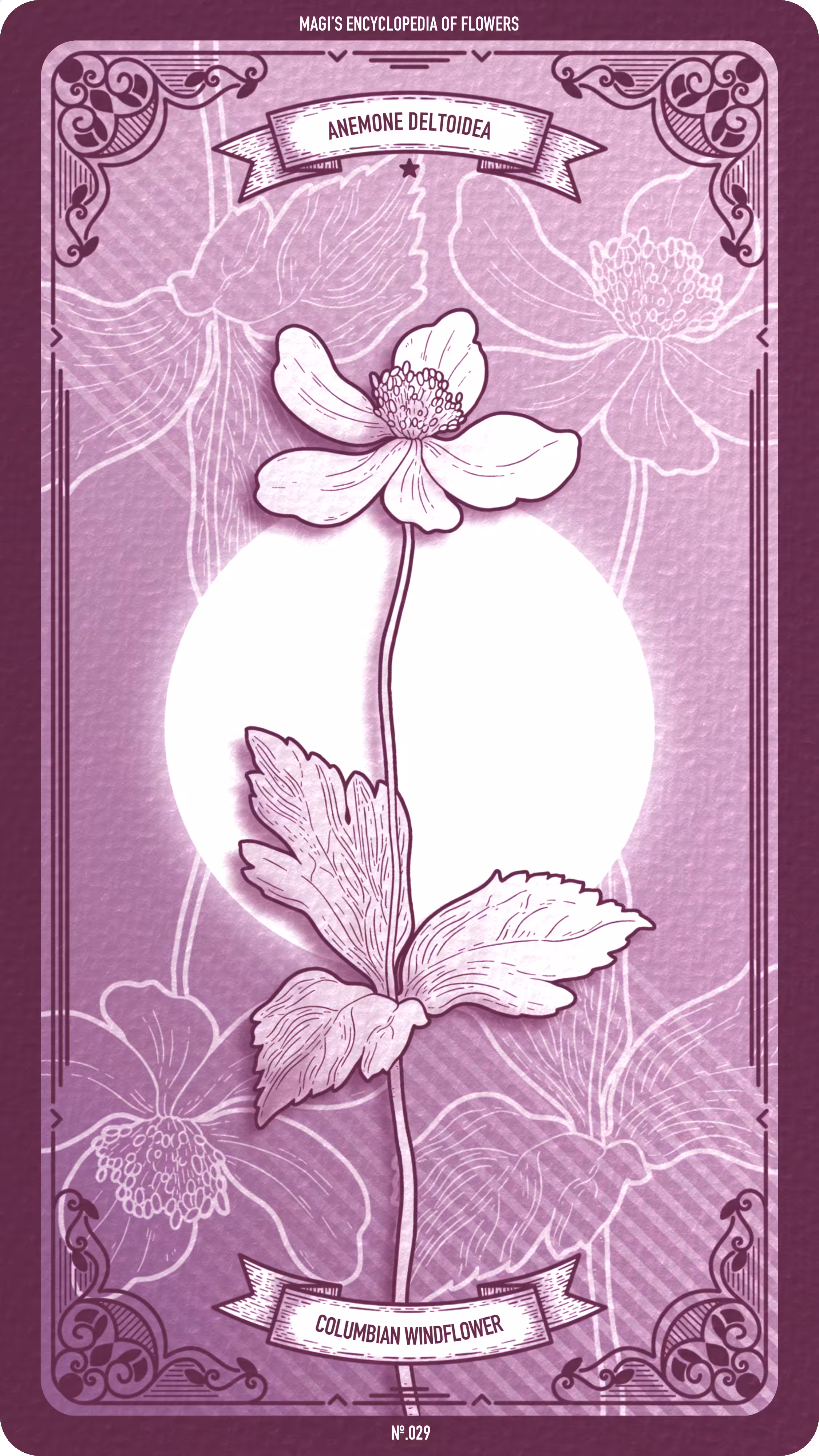 Magi's Encyclopedia of Flowers: 029 Columbian Windflower