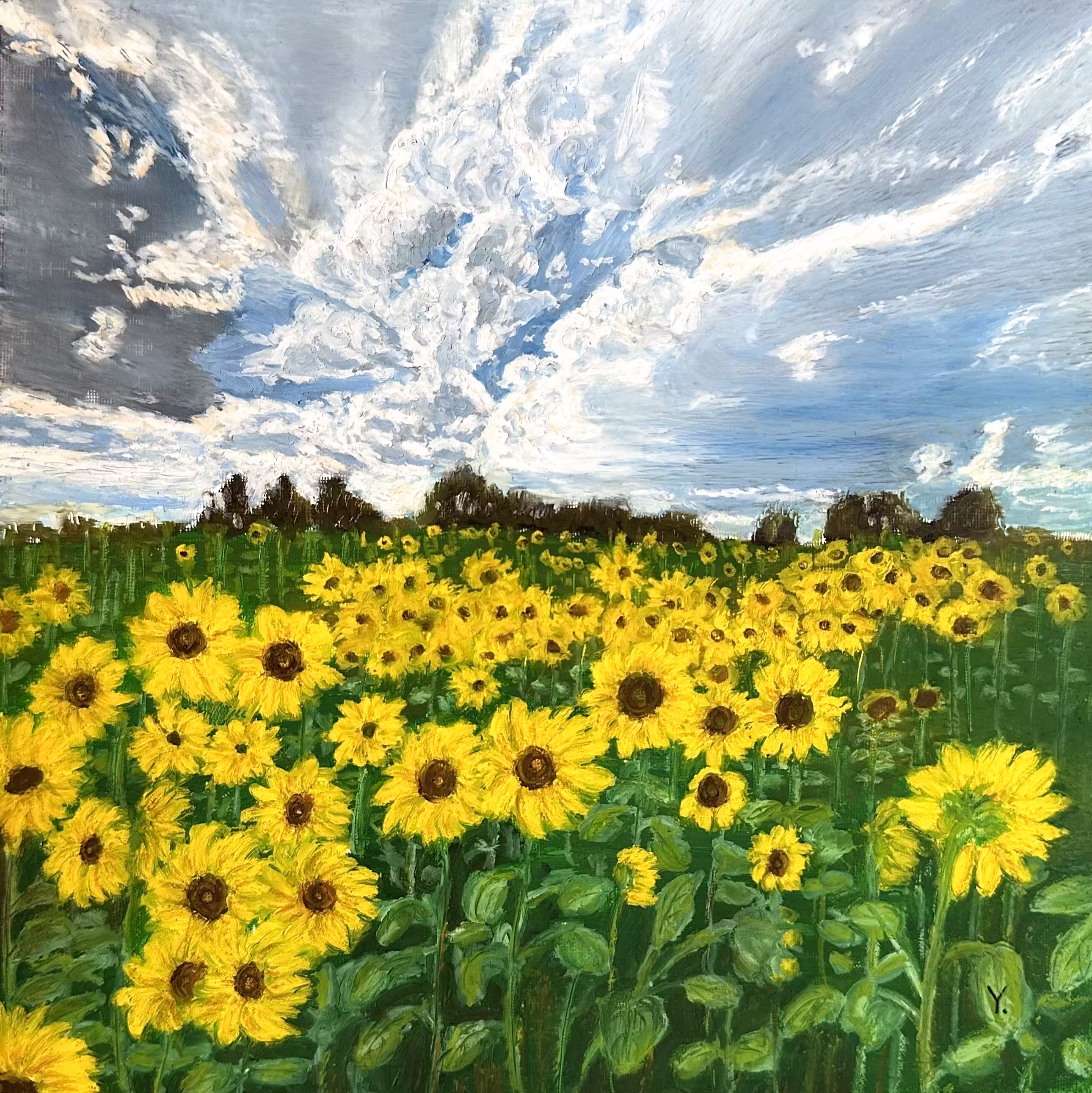 Sunny field