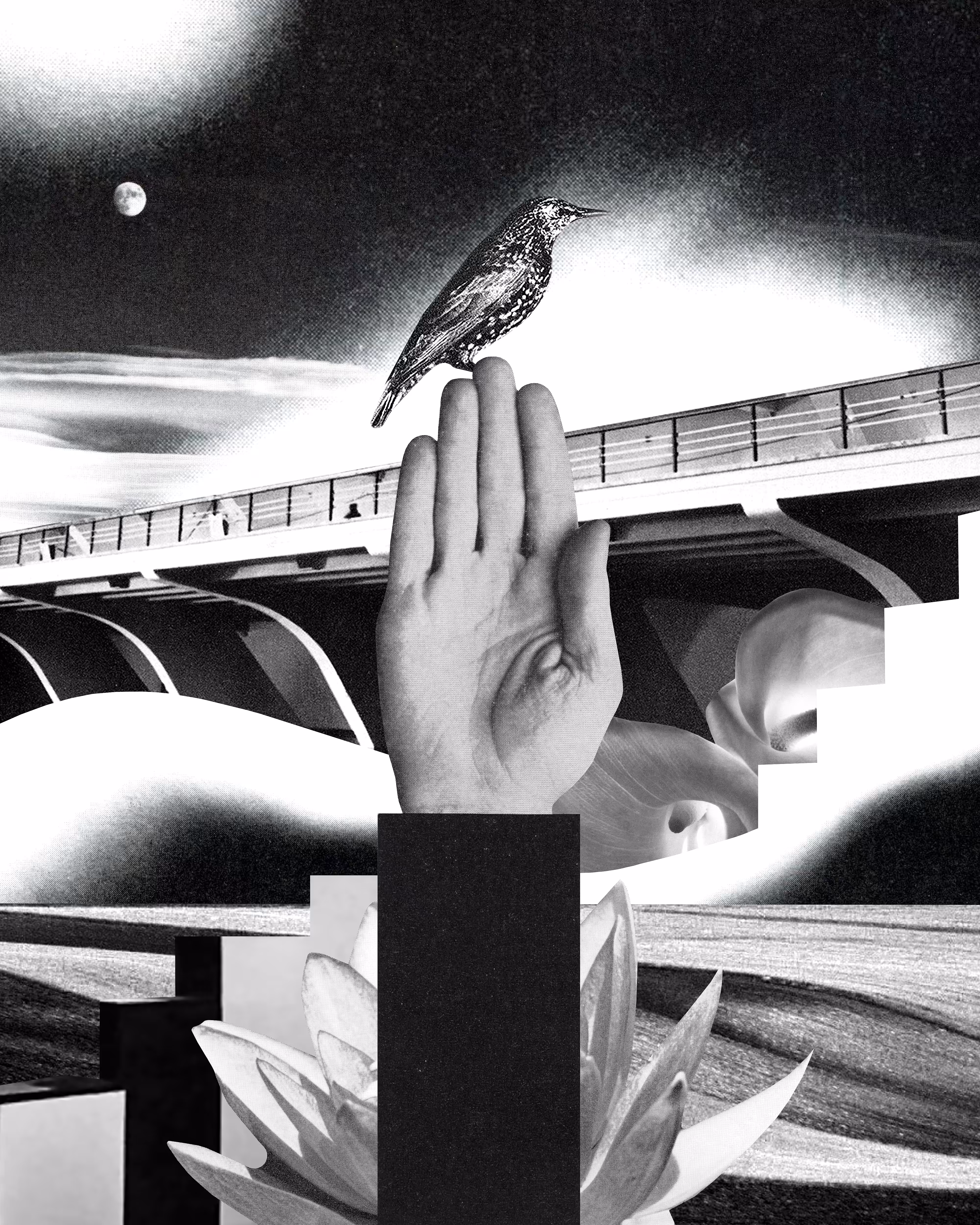 Transmission of flight 