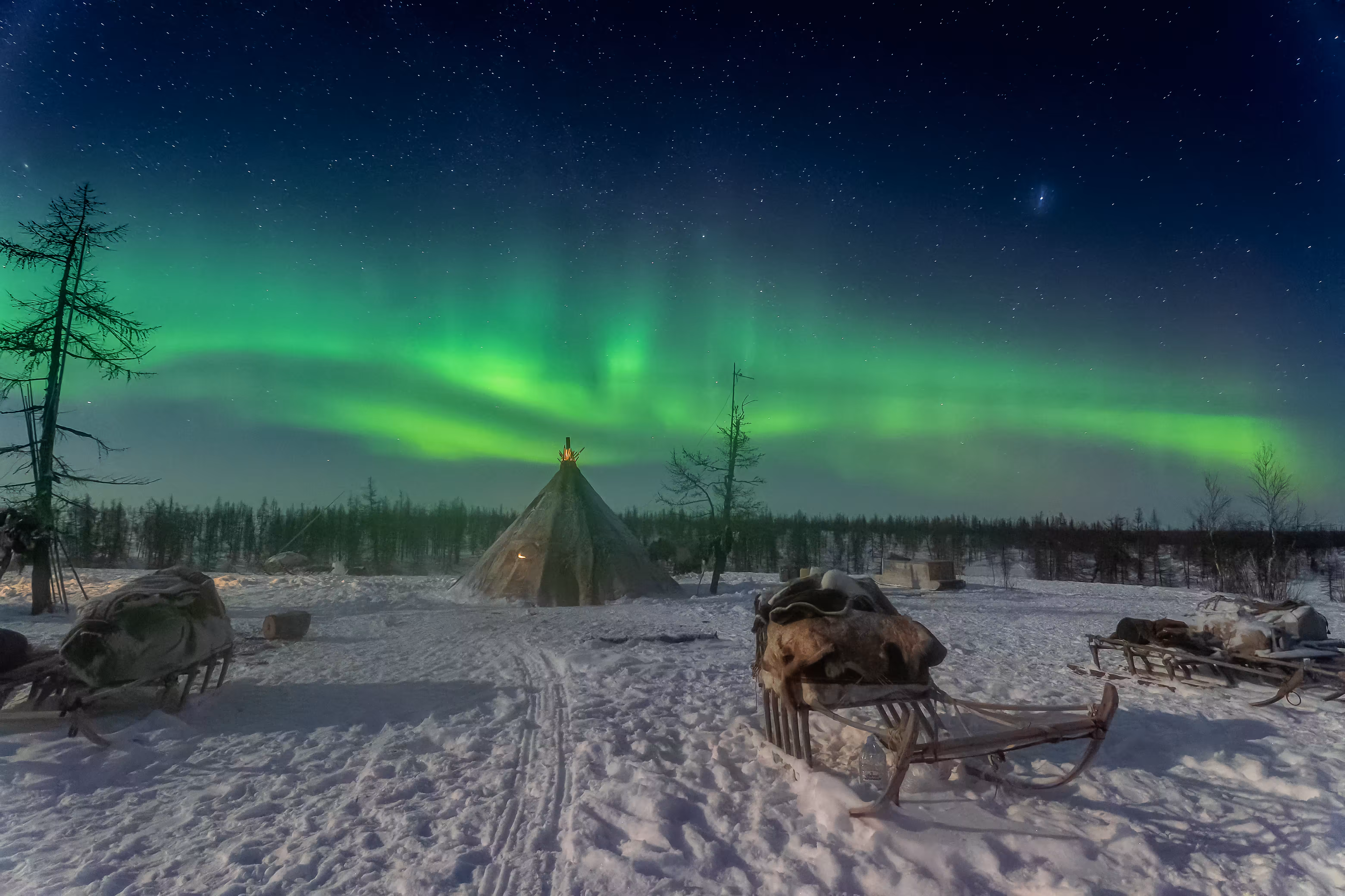 Home in a Frozen World