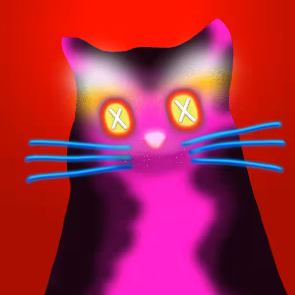 Quantum Cats #2024