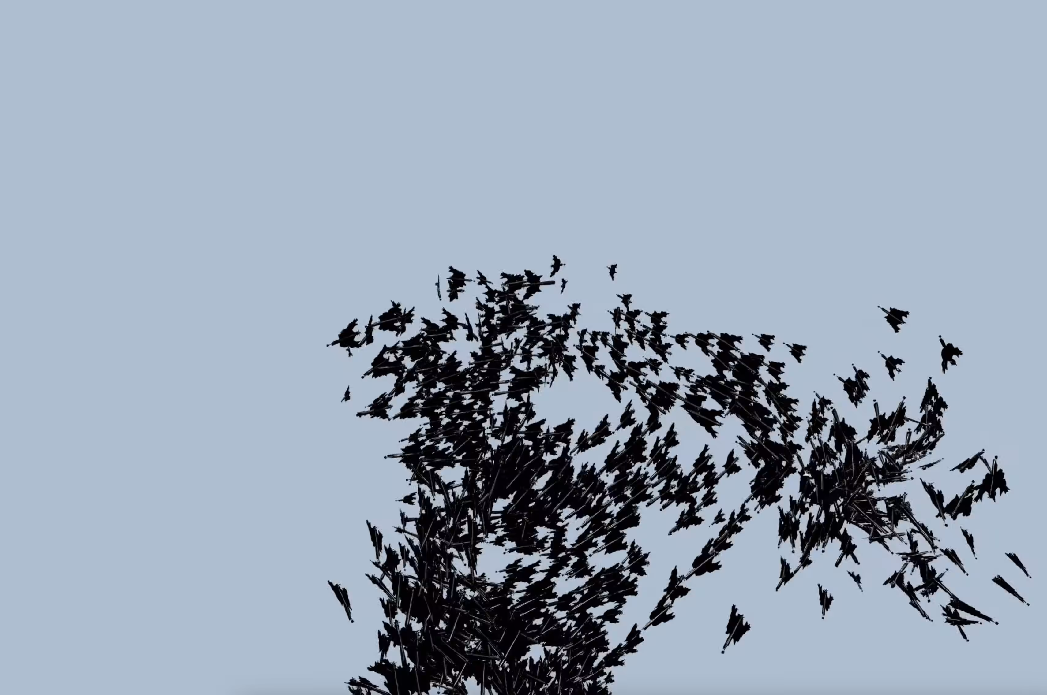 The swallows in May