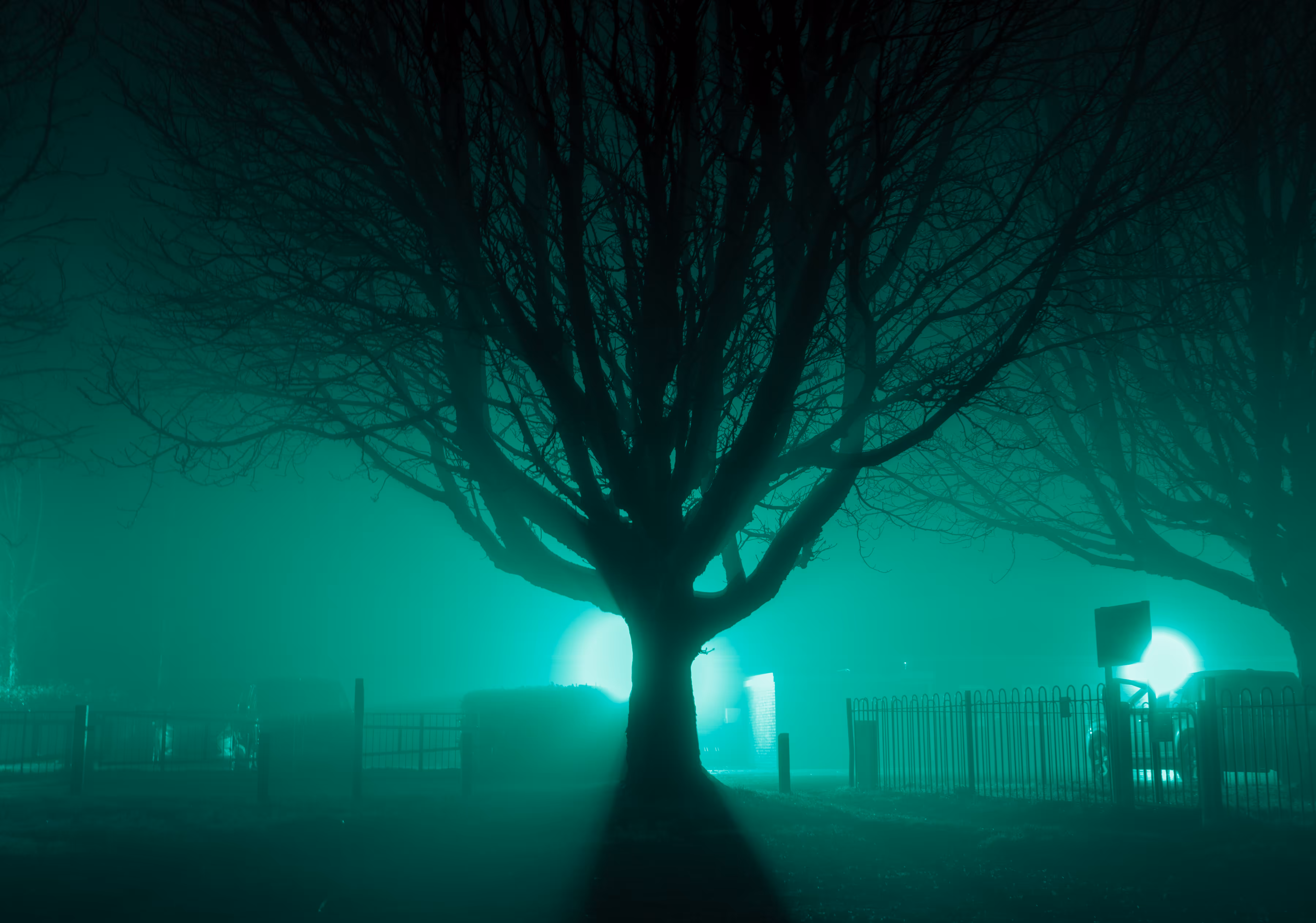 Rodeo posts: Playing with the darkness