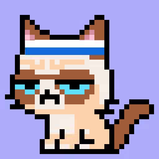 Grumpy Cat#3