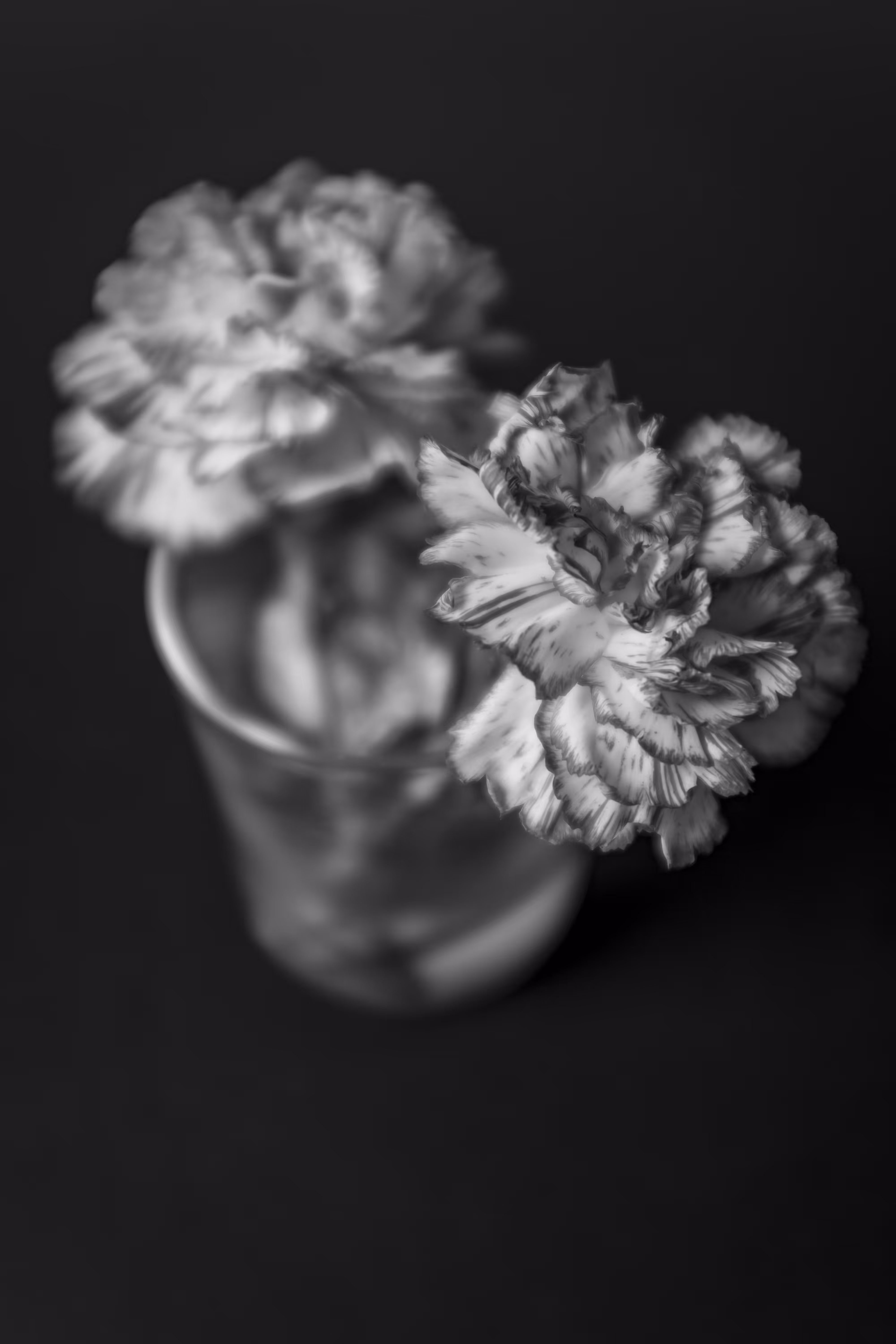 LUX No 5
