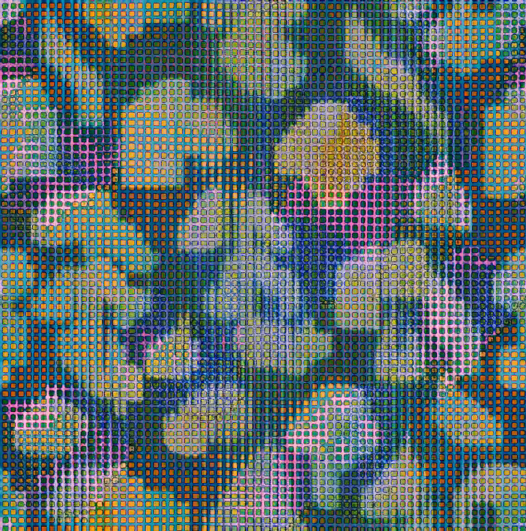 coalescence #1352