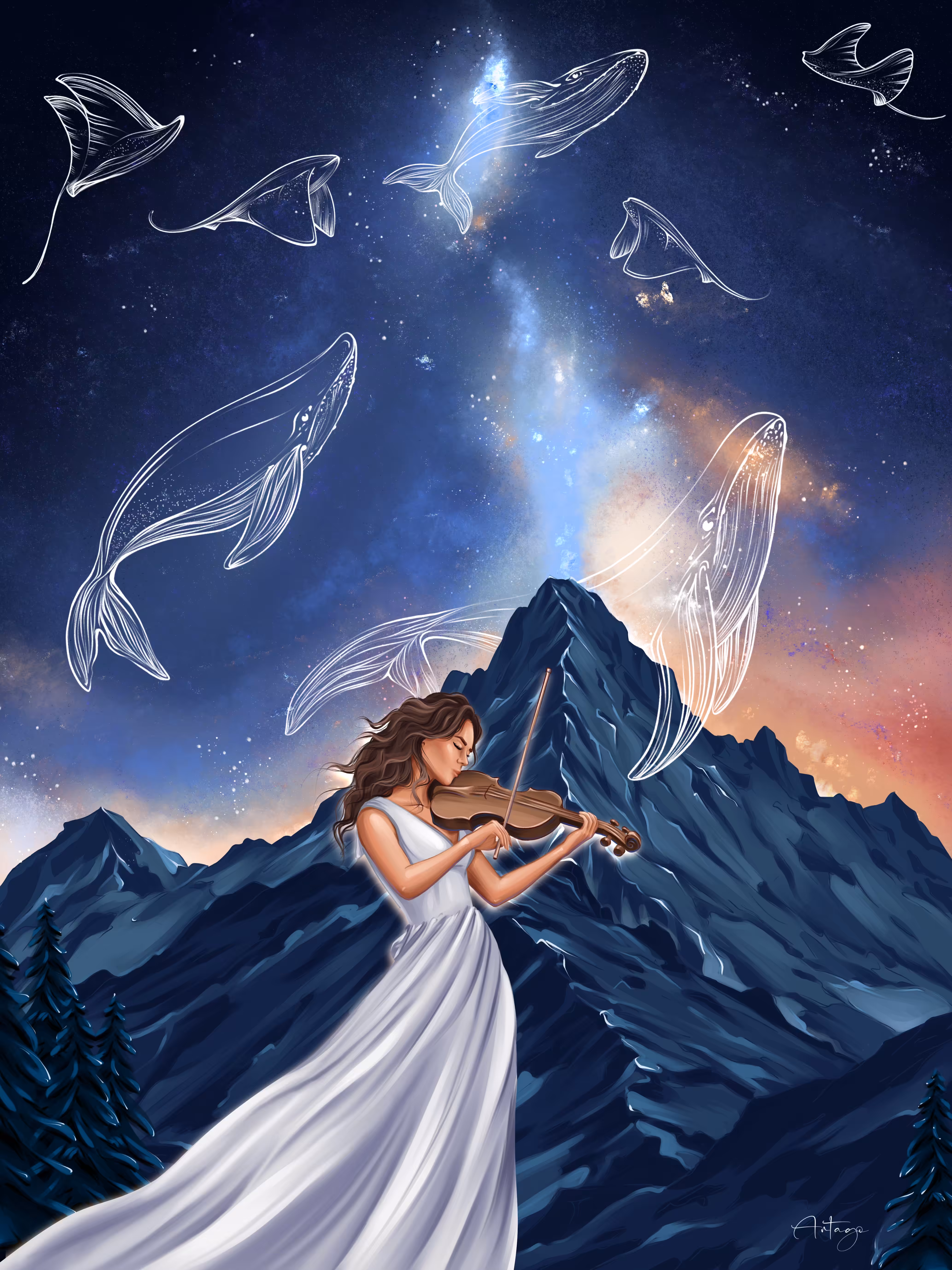 Harmony 