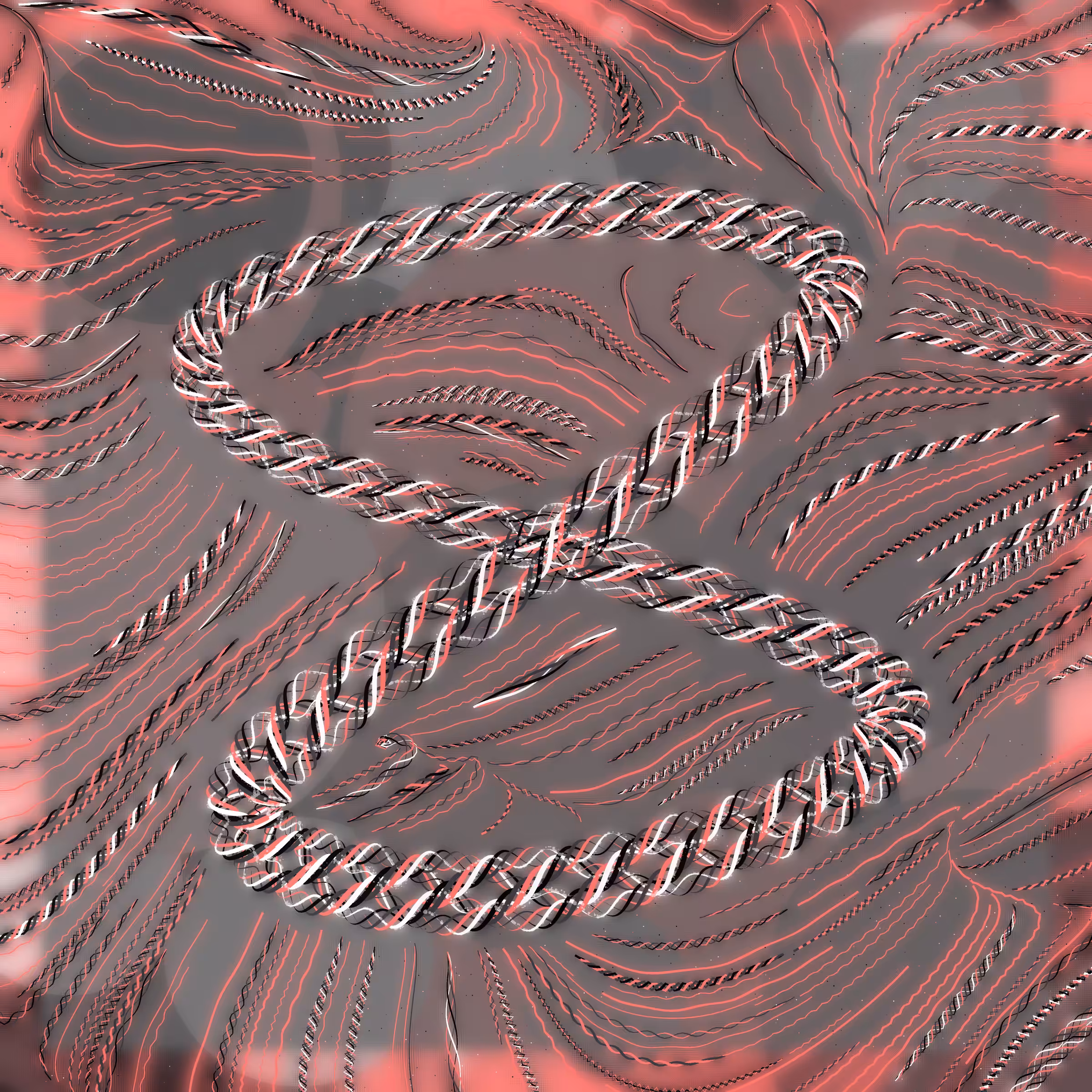 Friendship Bracelets #29012