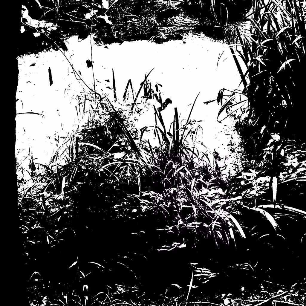 never dip your hands in the river