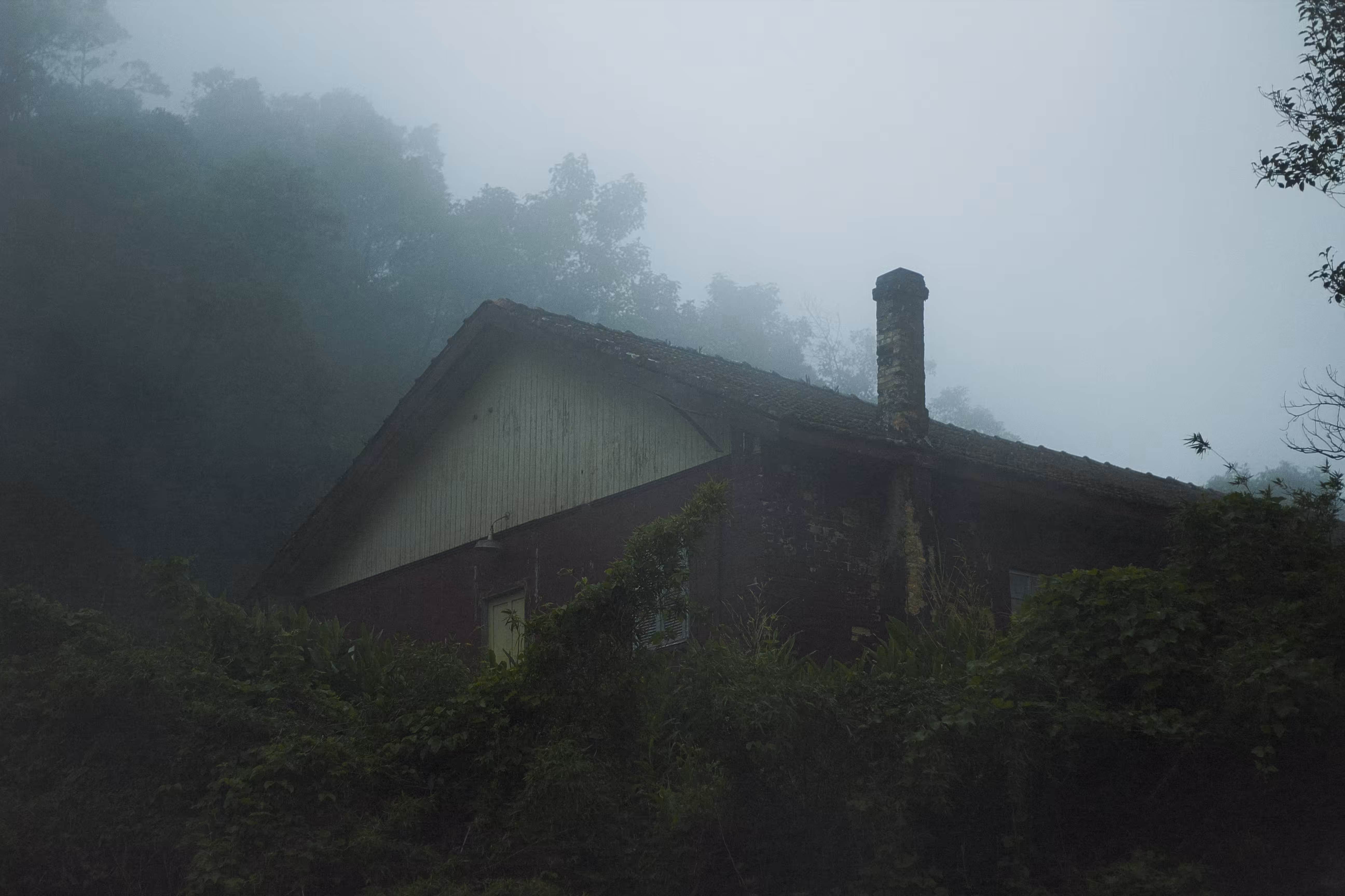 Nobody is home