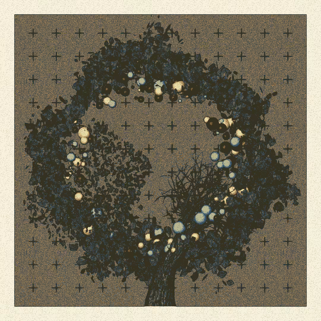 _argania[primaria] #271
