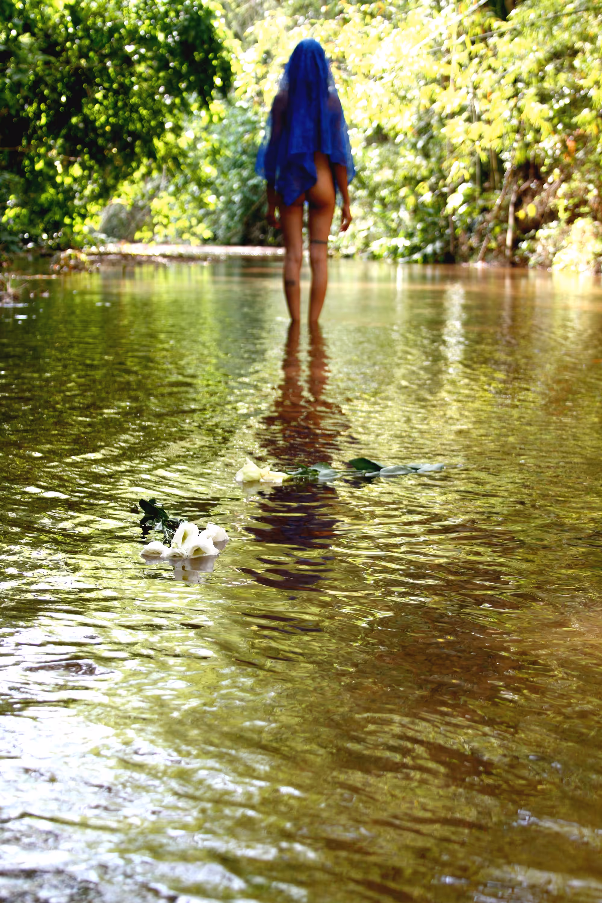 Jardim Secreto #3